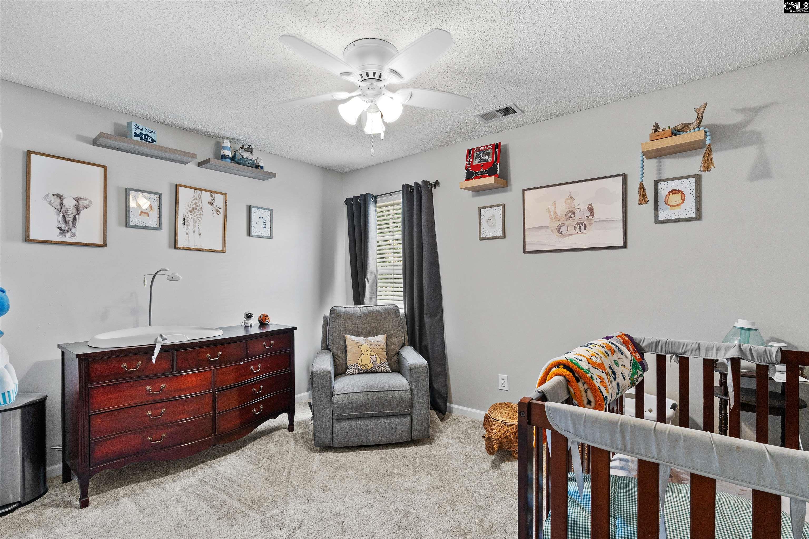 334 Buckthorne Drive, Lexington, South Carolina image 27