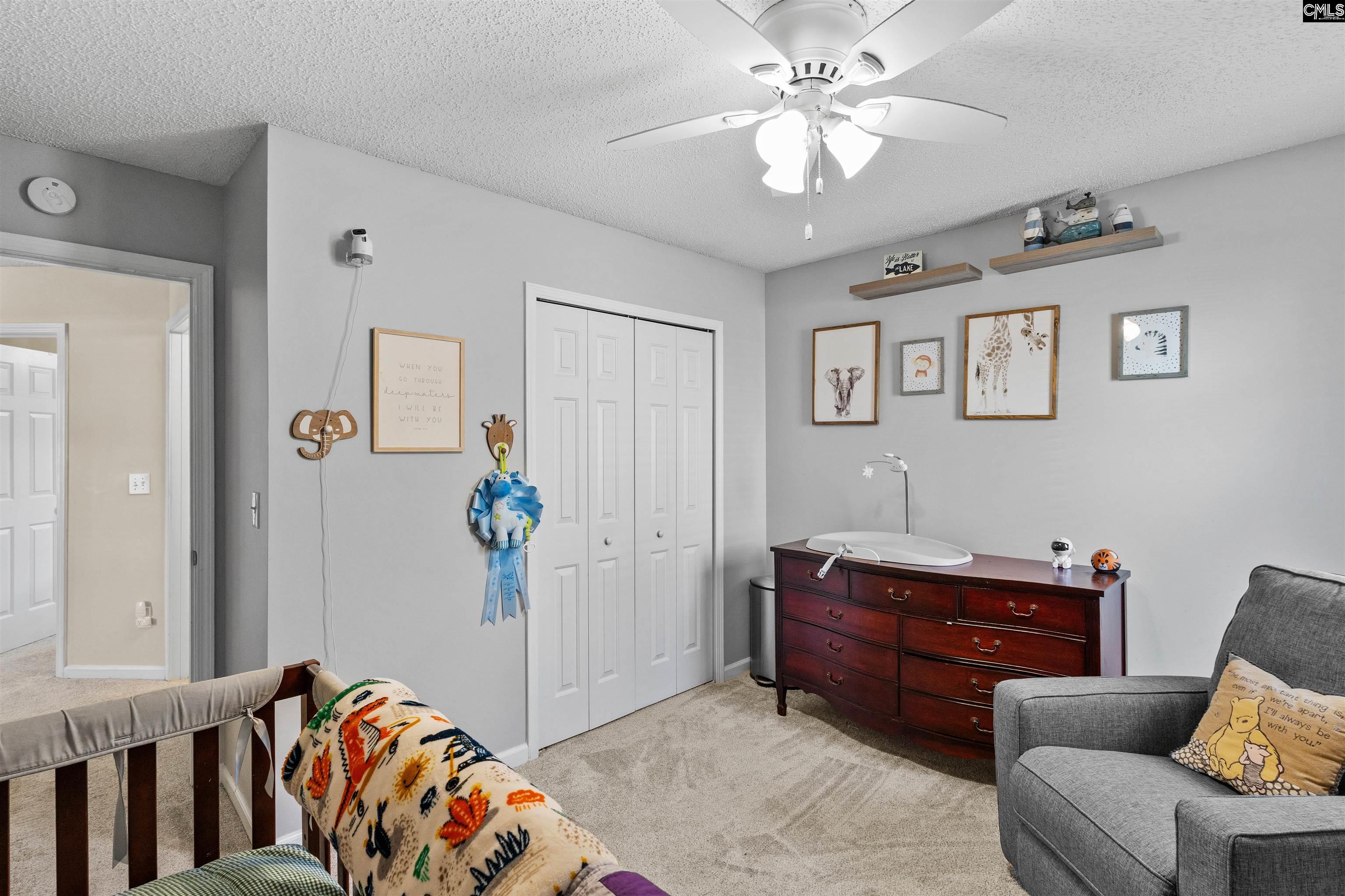 334 Buckthorne Drive, Lexington, South Carolina image 28