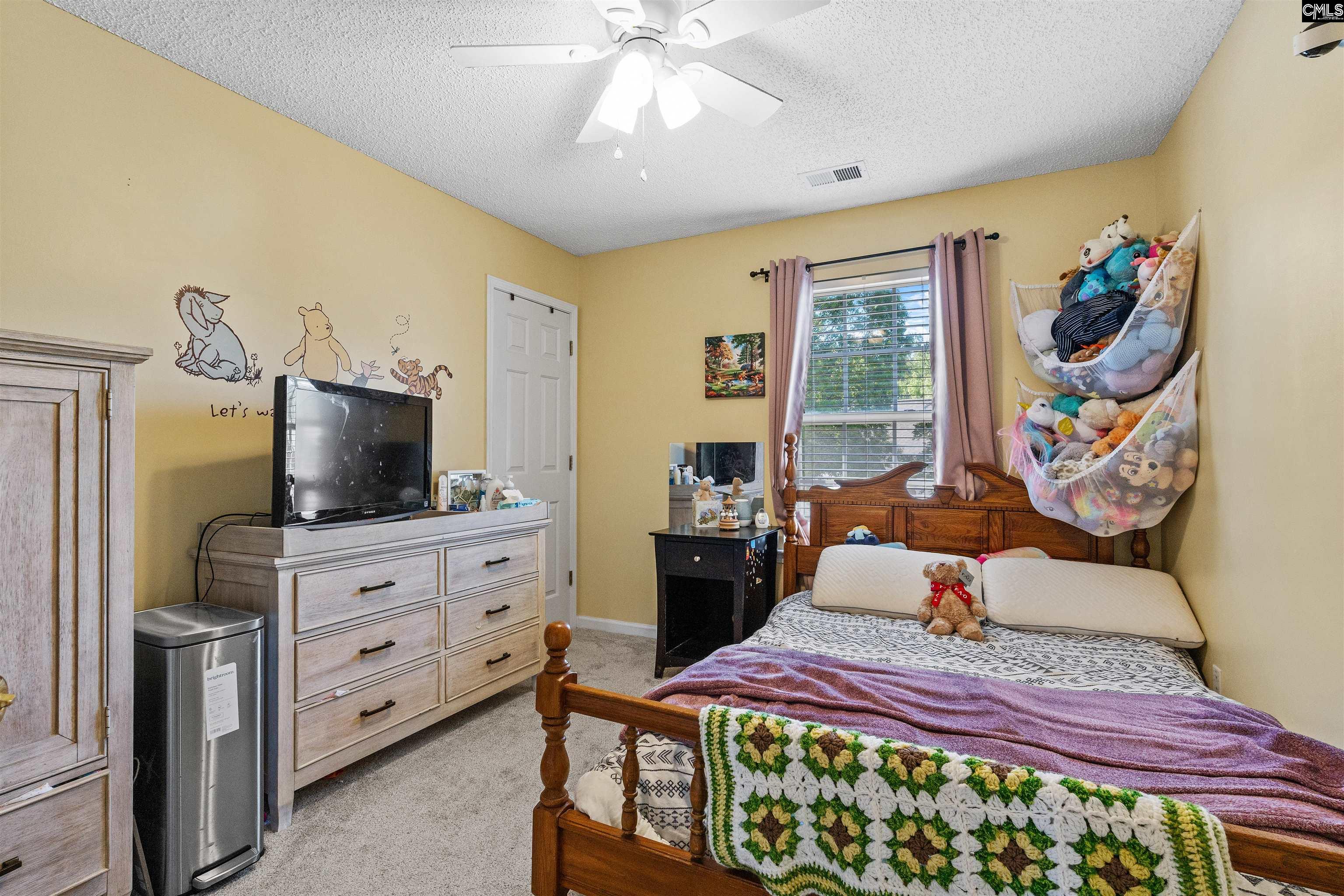 334 Buckthorne Drive, Lexington, South Carolina image 29