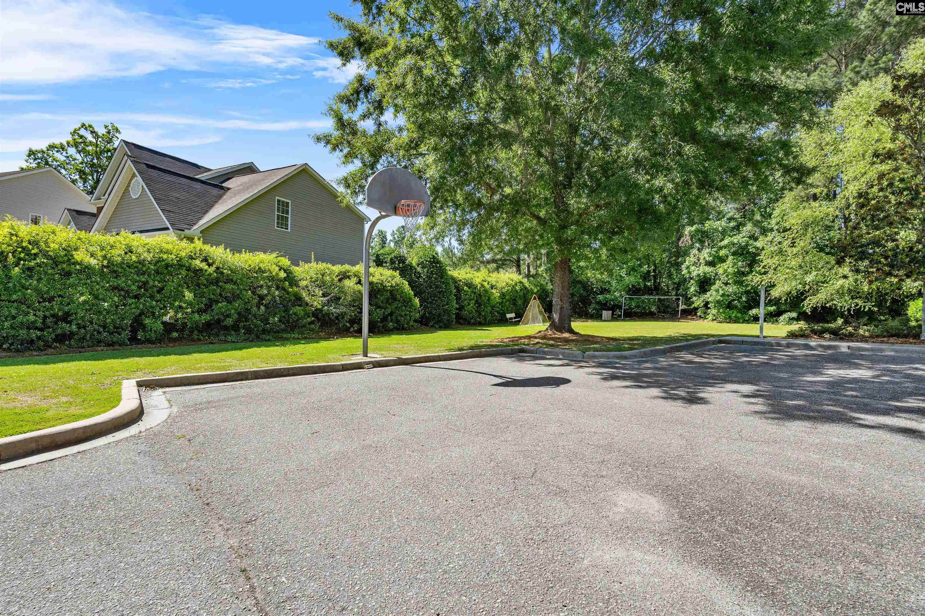 334 Buckthorne Drive, Lexington, South Carolina image 41