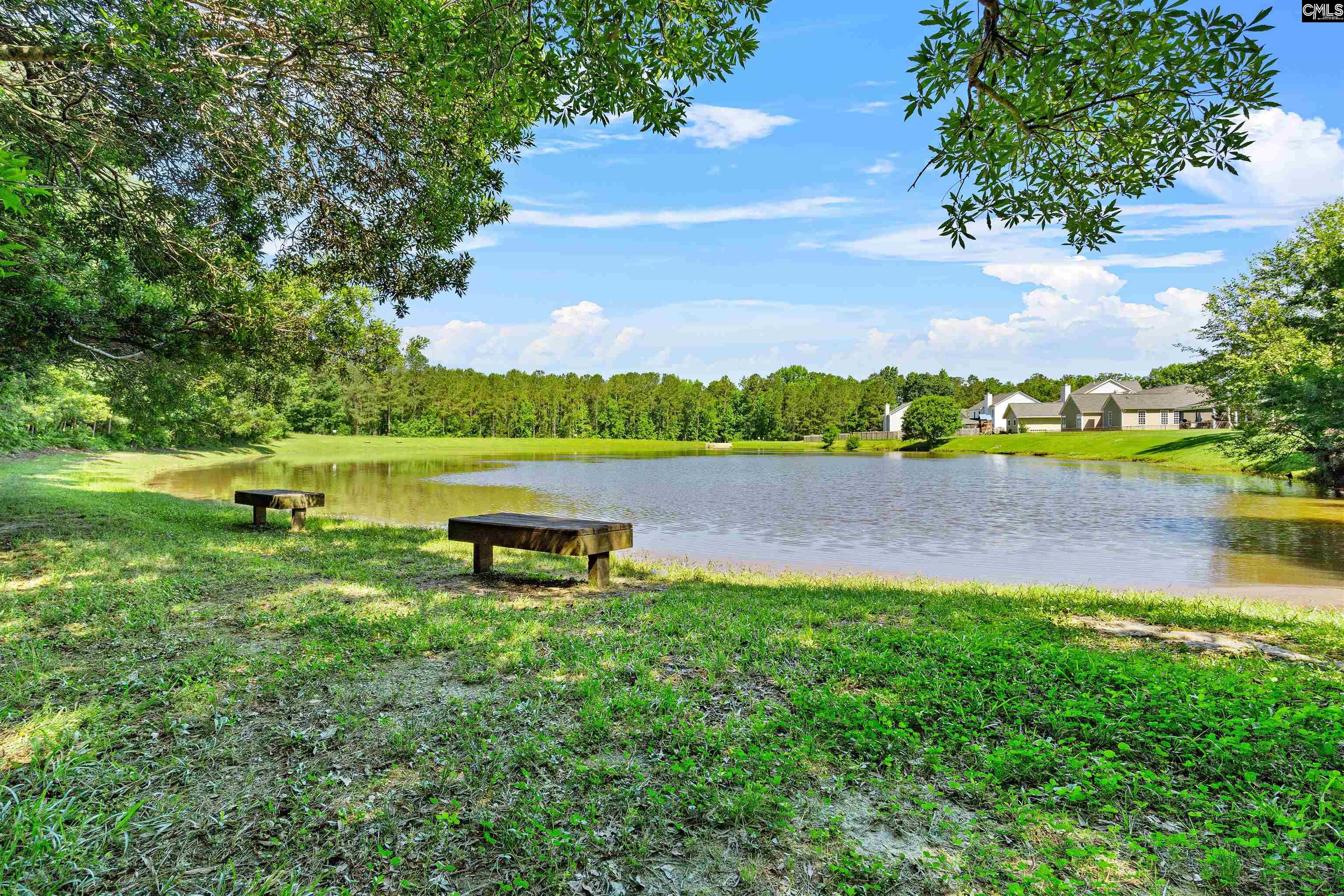 334 Buckthorne Drive, Lexington, South Carolina image 43