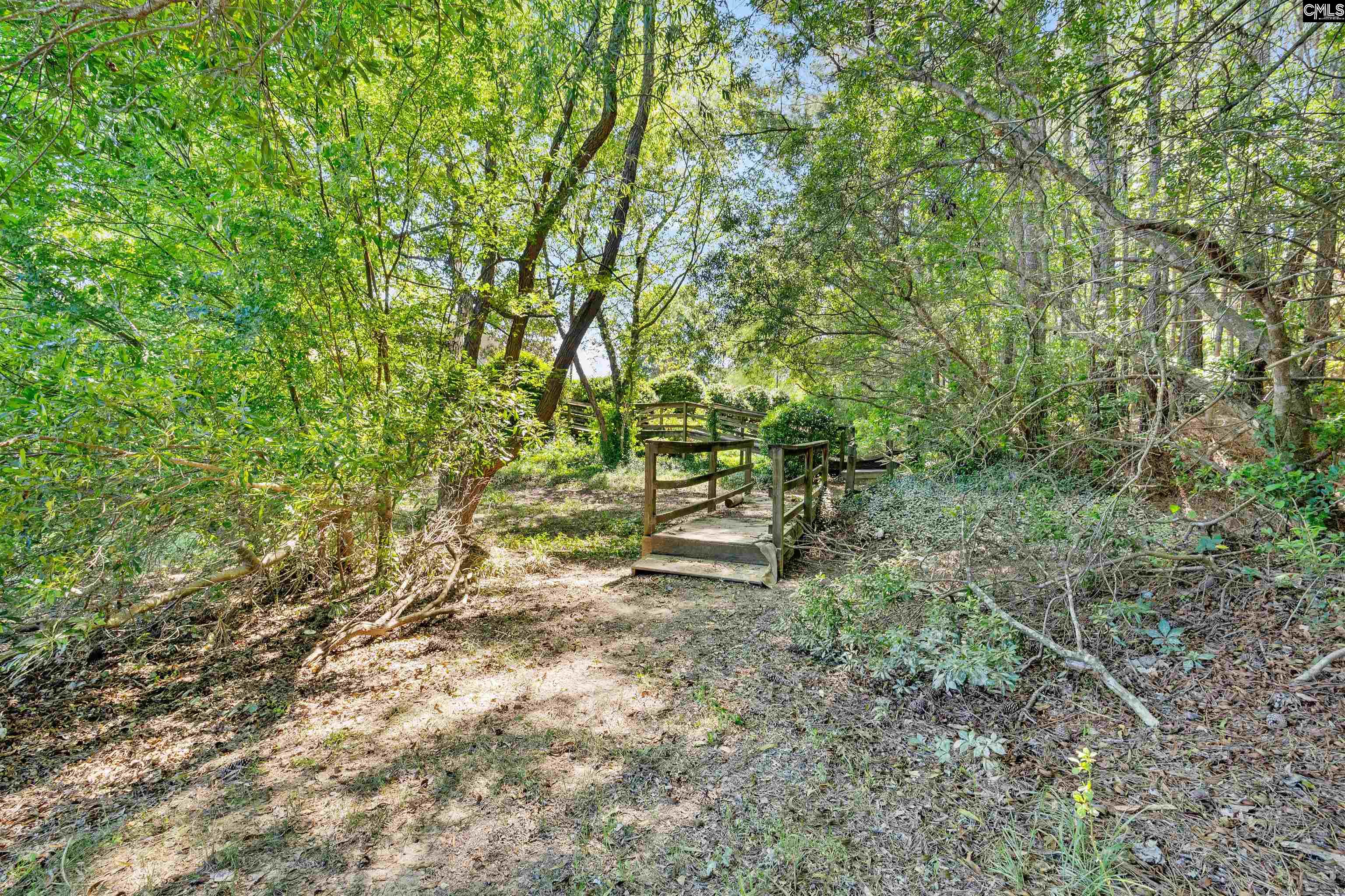 334 Buckthorne Drive, Lexington, South Carolina image 44