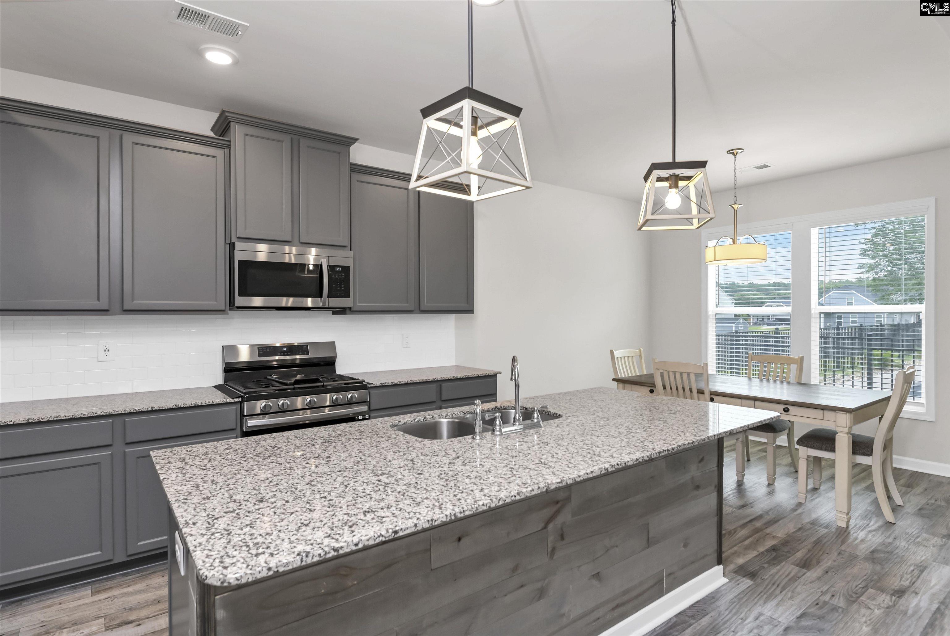219 Belfast Way, Lexington, South Carolina image 15