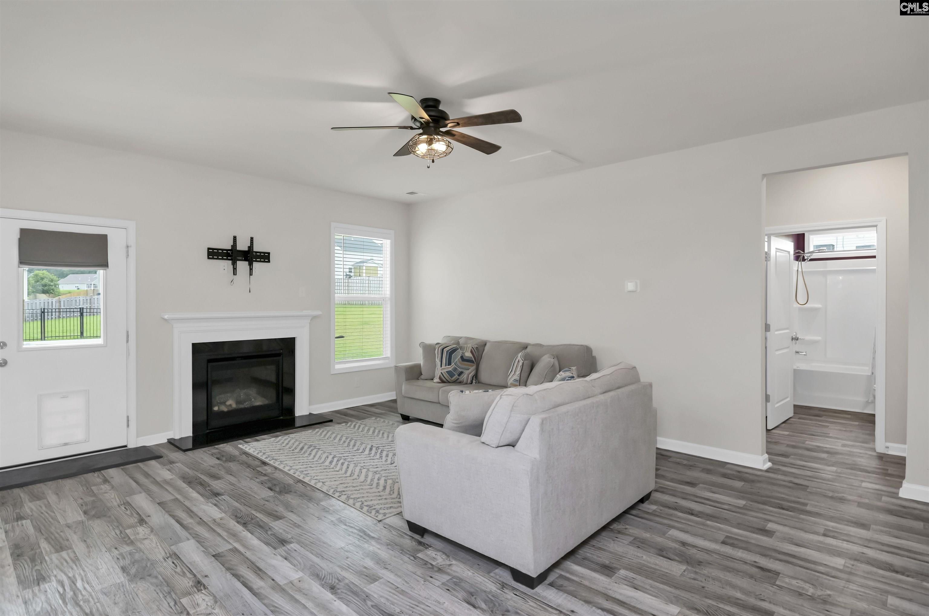 219 Belfast Way, Lexington, South Carolina image 17