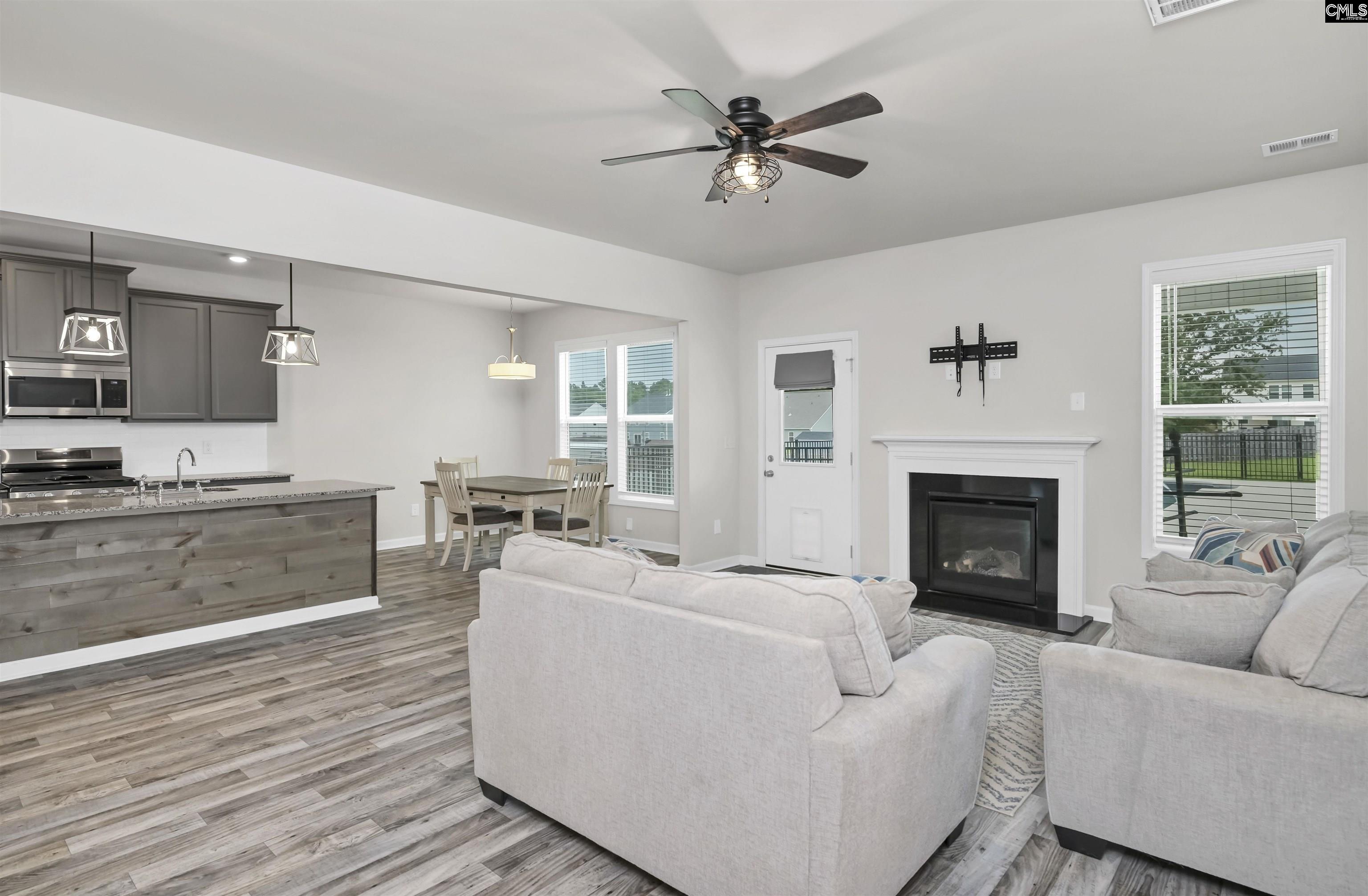 219 Belfast Way, Lexington, South Carolina image 22