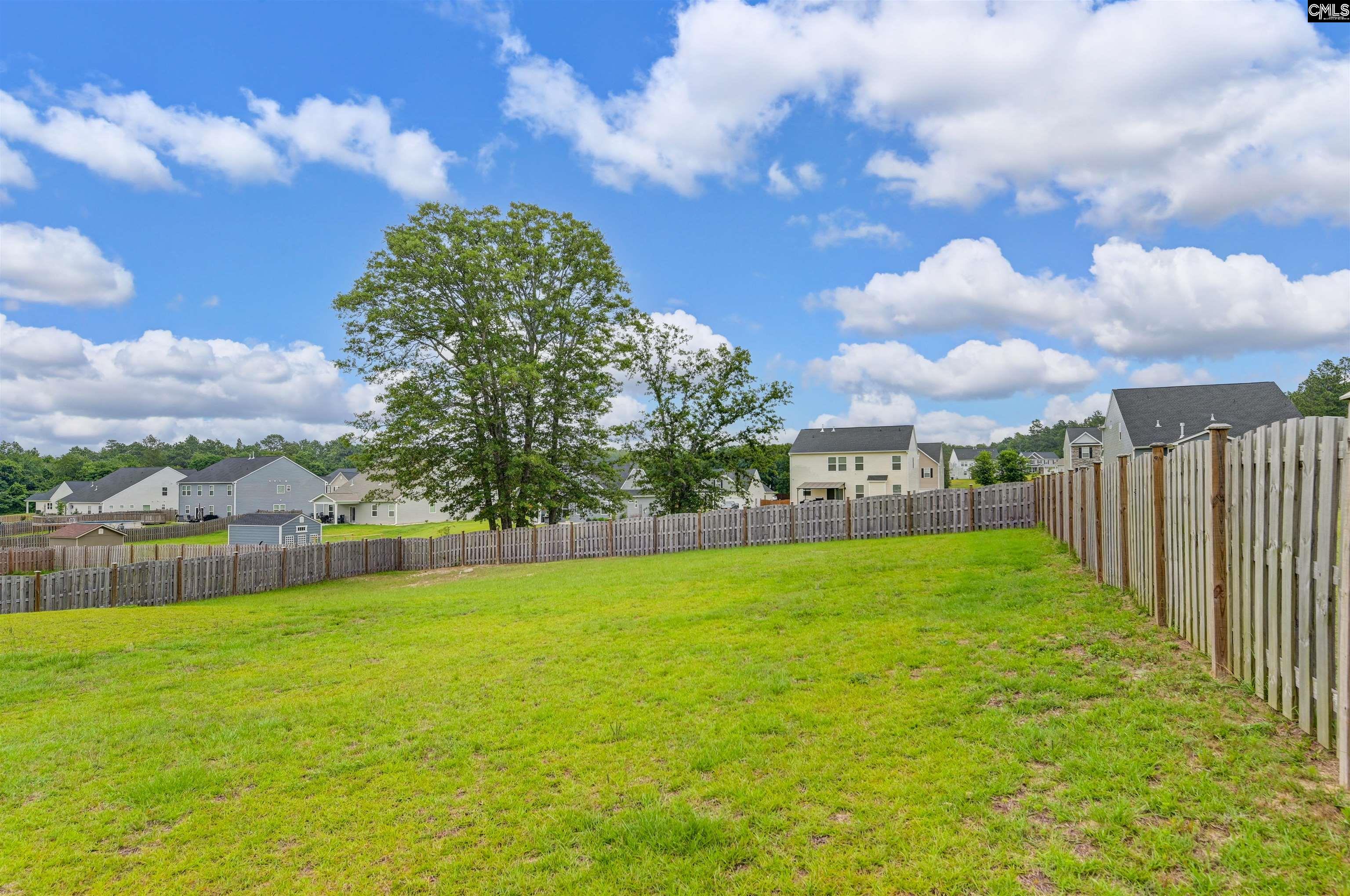 219 Belfast Way, Lexington, South Carolina image 4