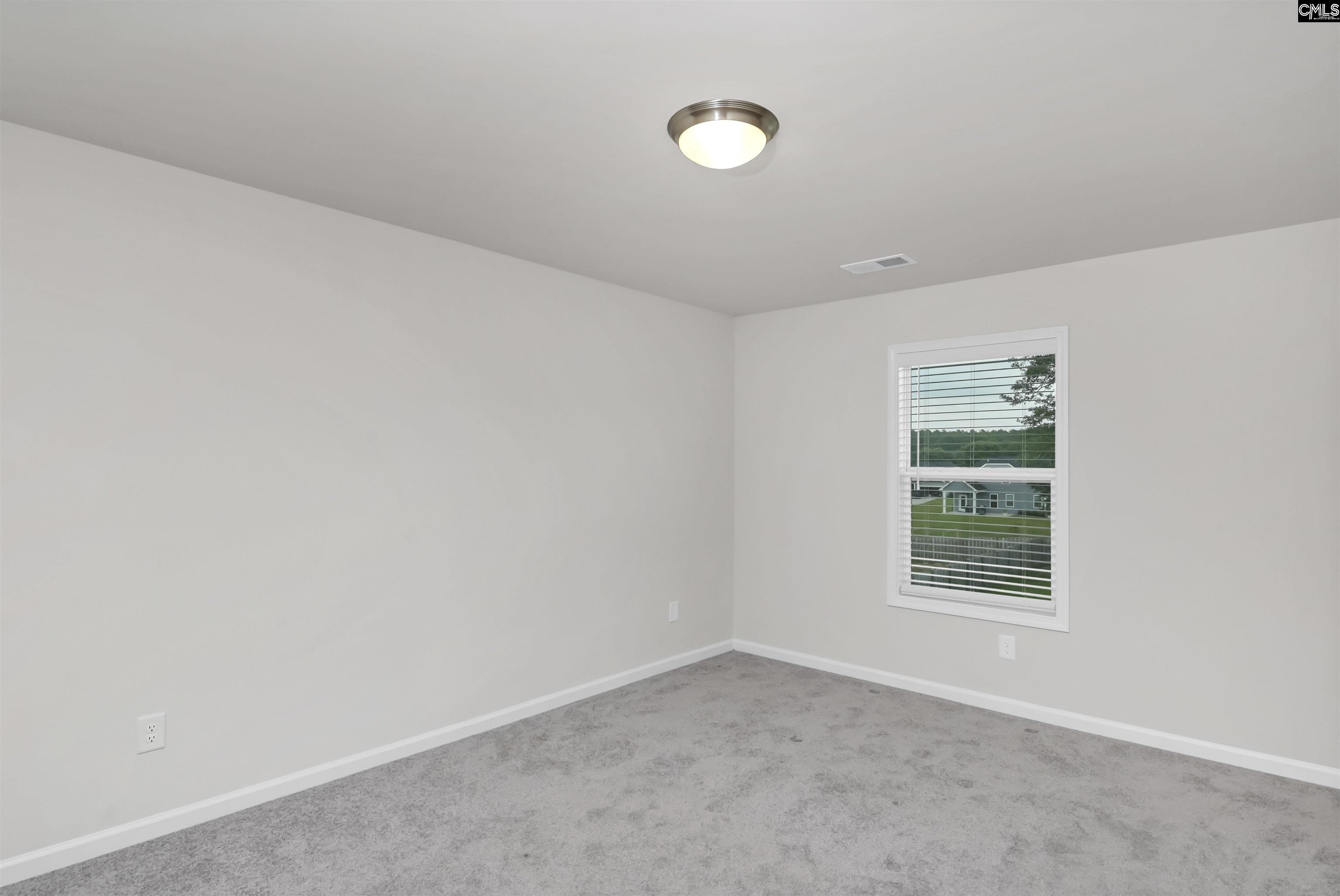 219 Belfast Way, Lexington, South Carolina image 34