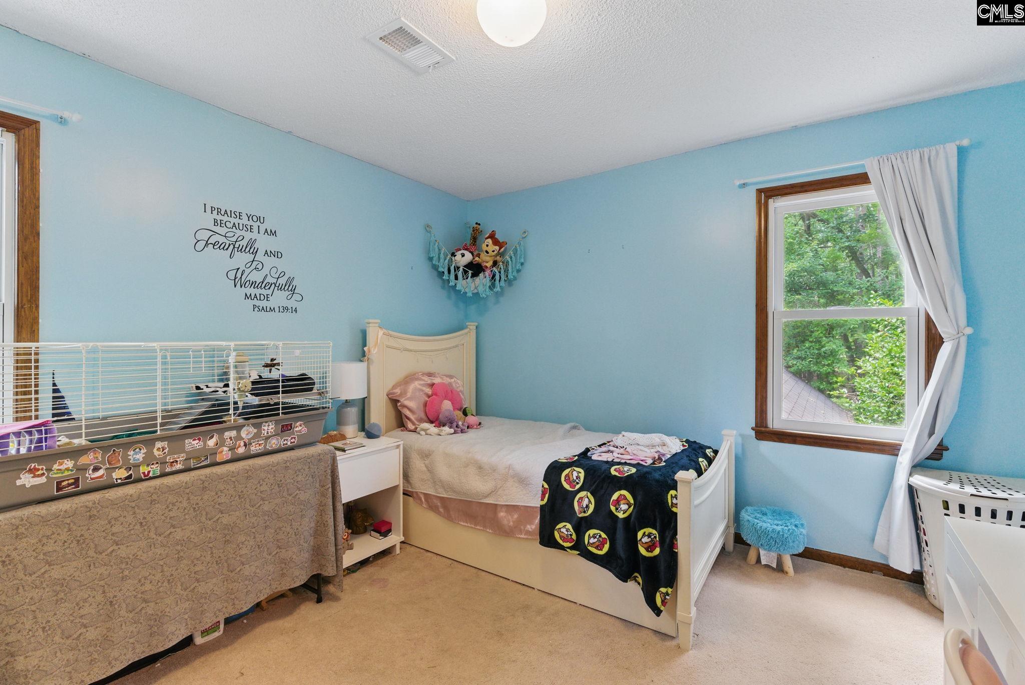 108 Timber Knoll Drive, Irmo, South Carolina image 41