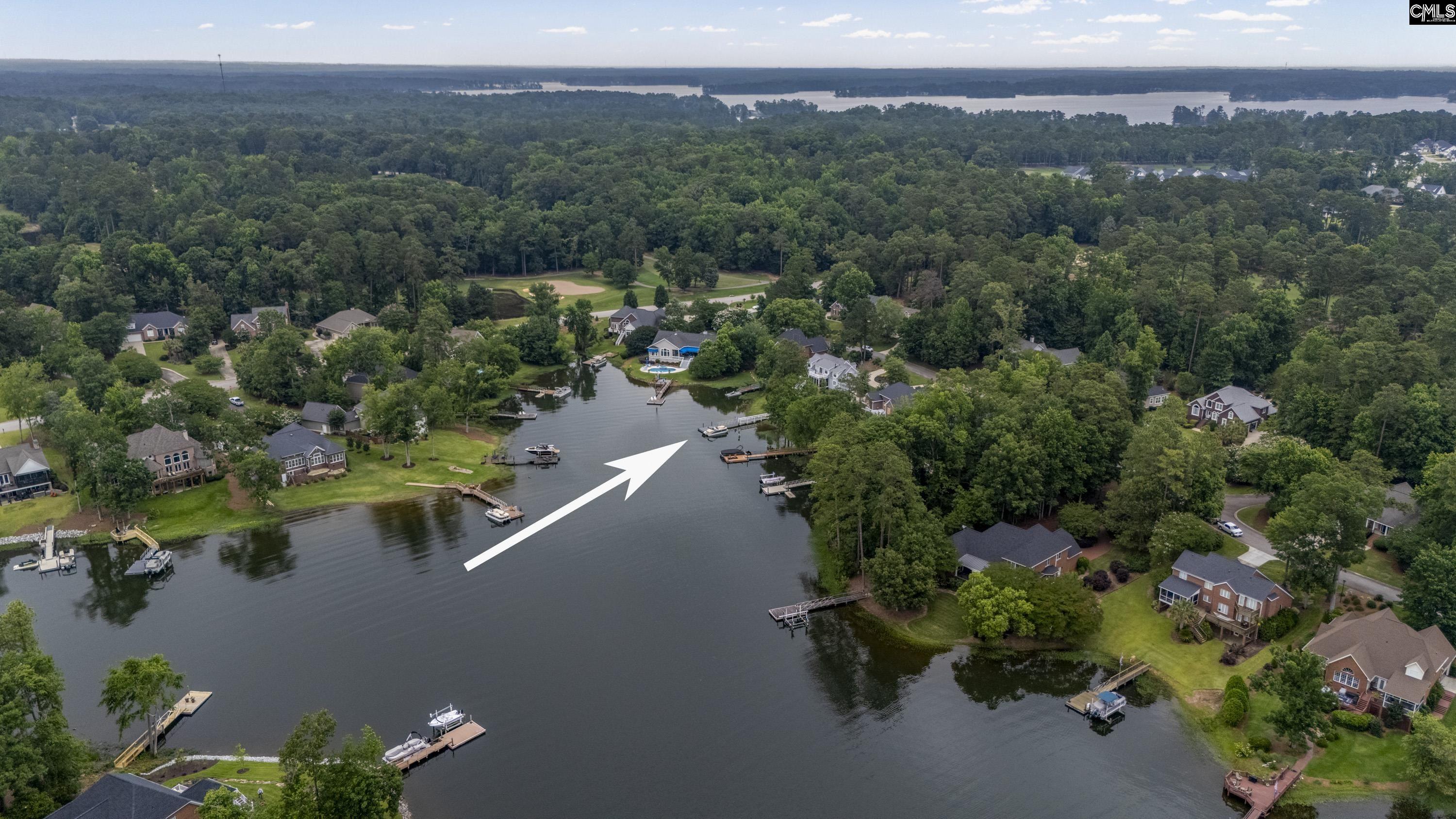 112 Water Links Drive, Chapin, South Carolina image 12