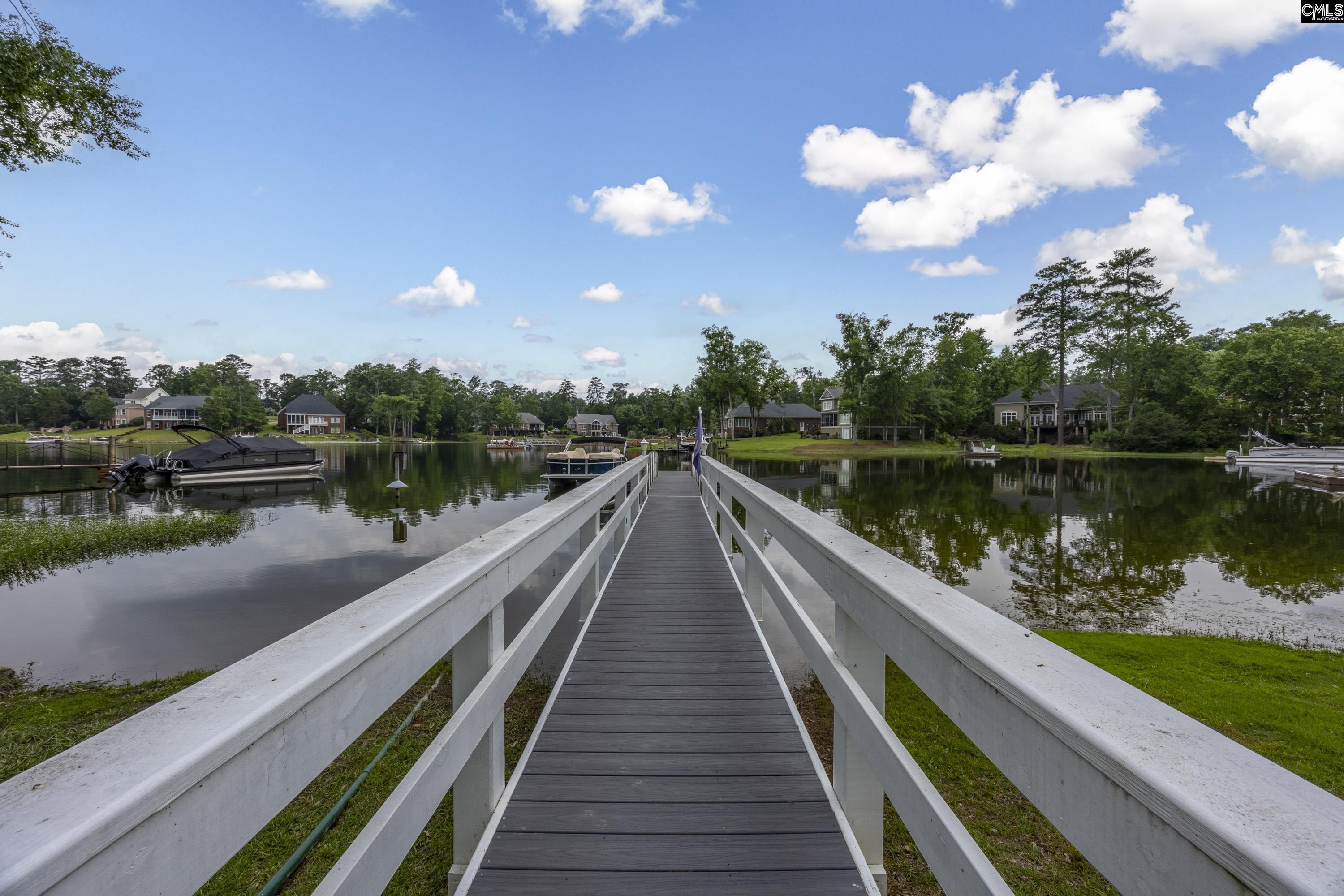 112 Water Links Drive, Chapin, South Carolina image 8