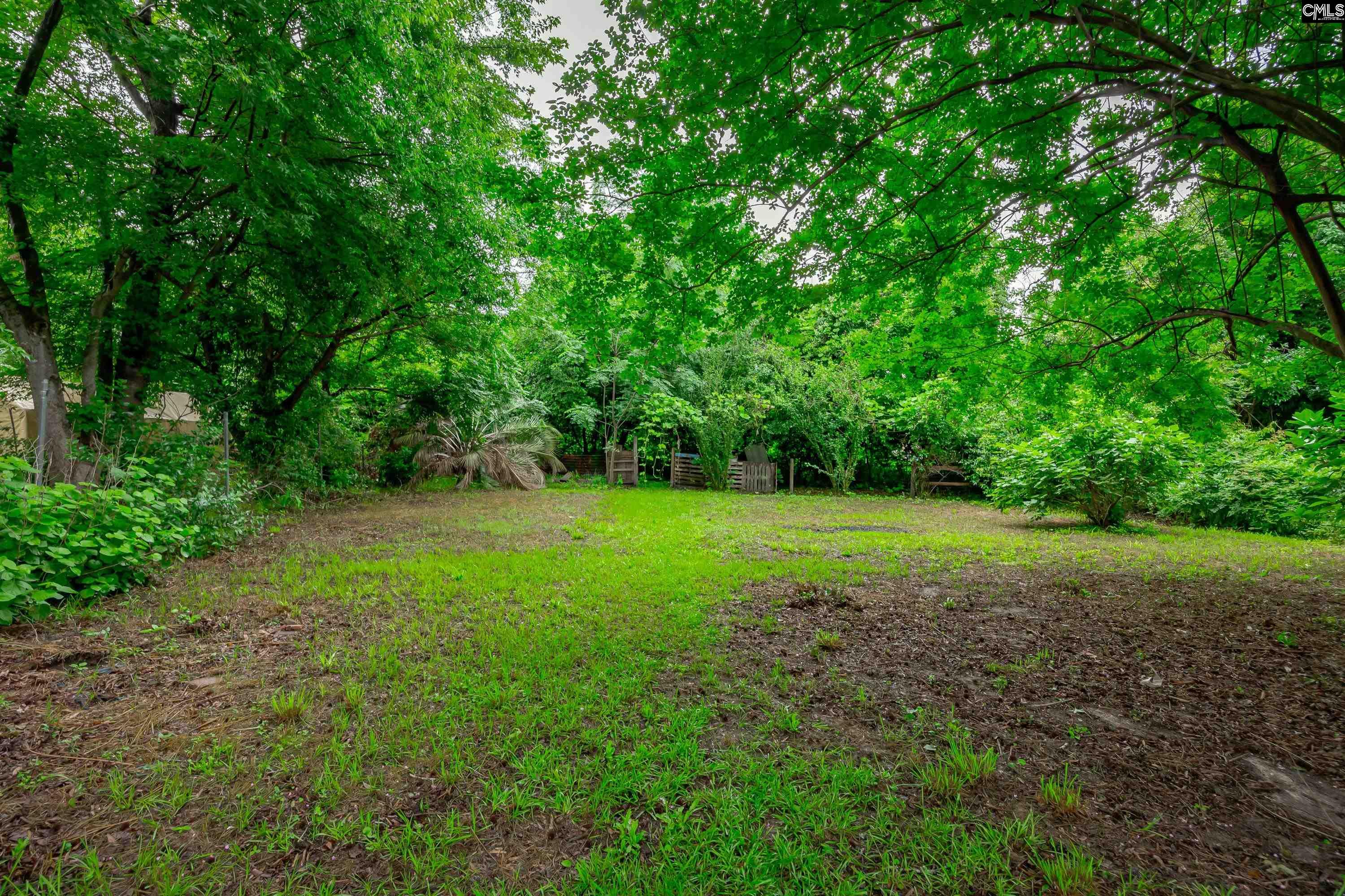 1614 Clyburn Street, Camden, South Carolina image 16
