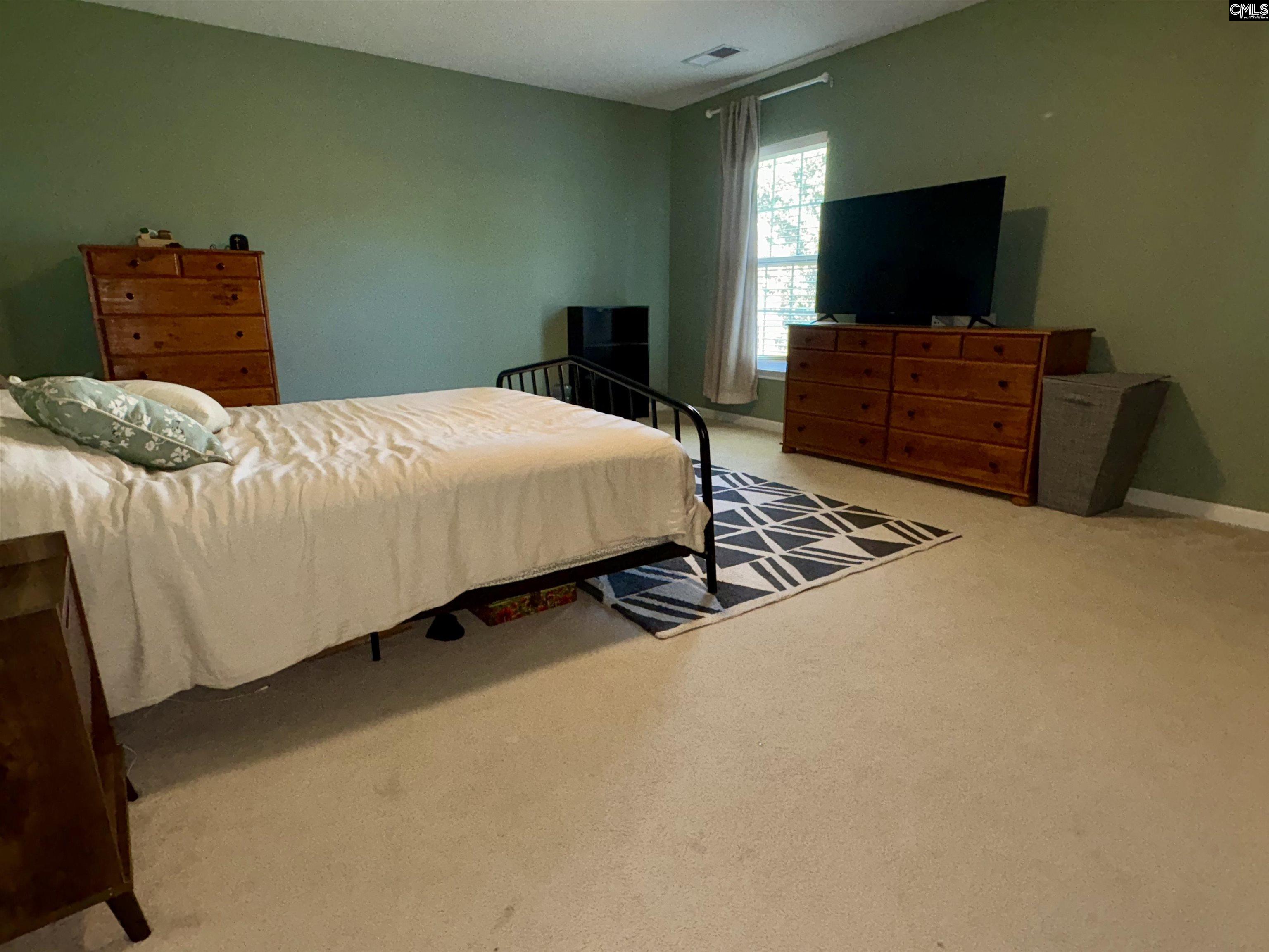 129 Dawson Hill Lane, Lexington, South Carolina image 19
