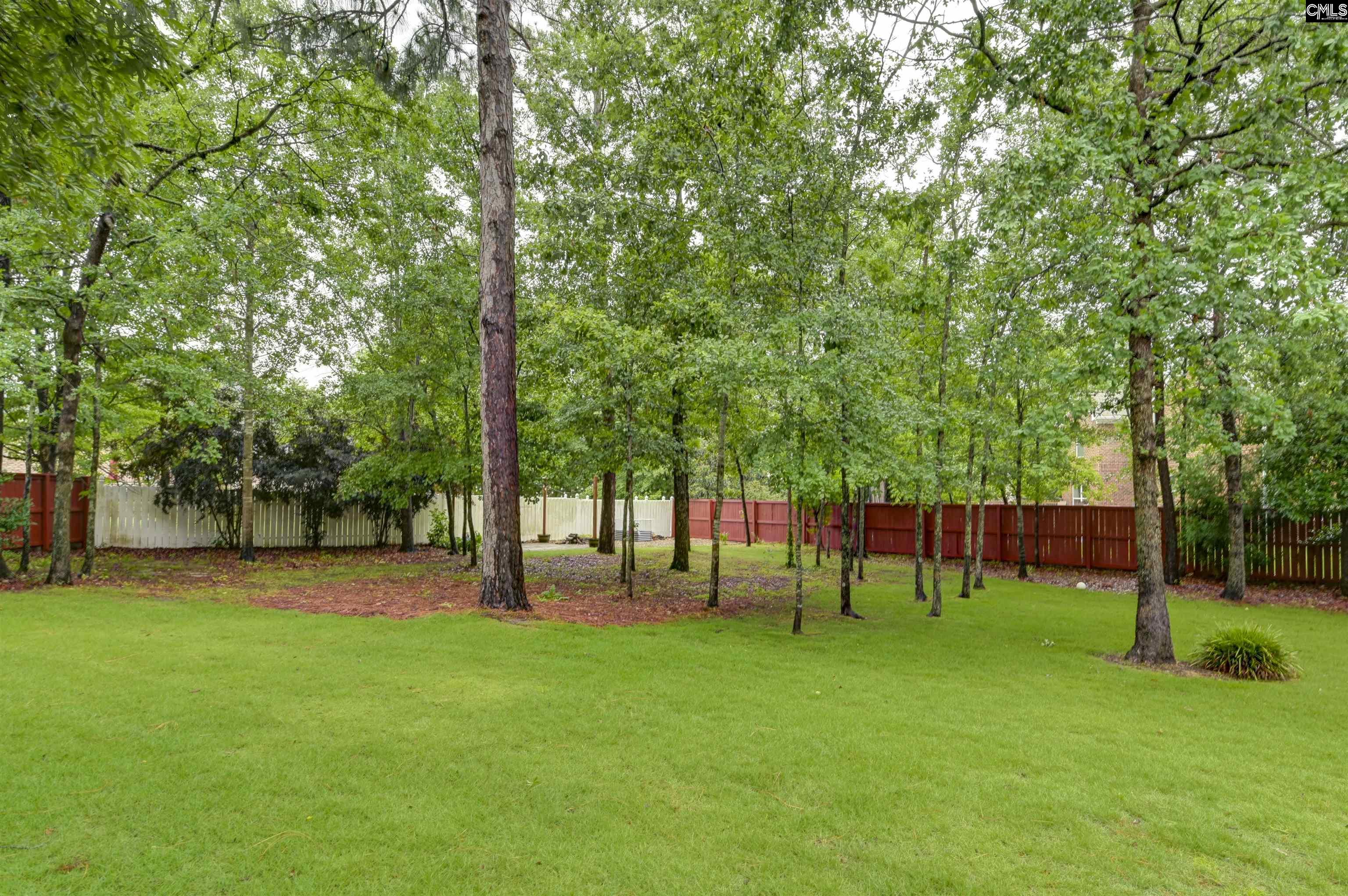 59 Harvest Moon Court, Blythewood, South Carolina image 41