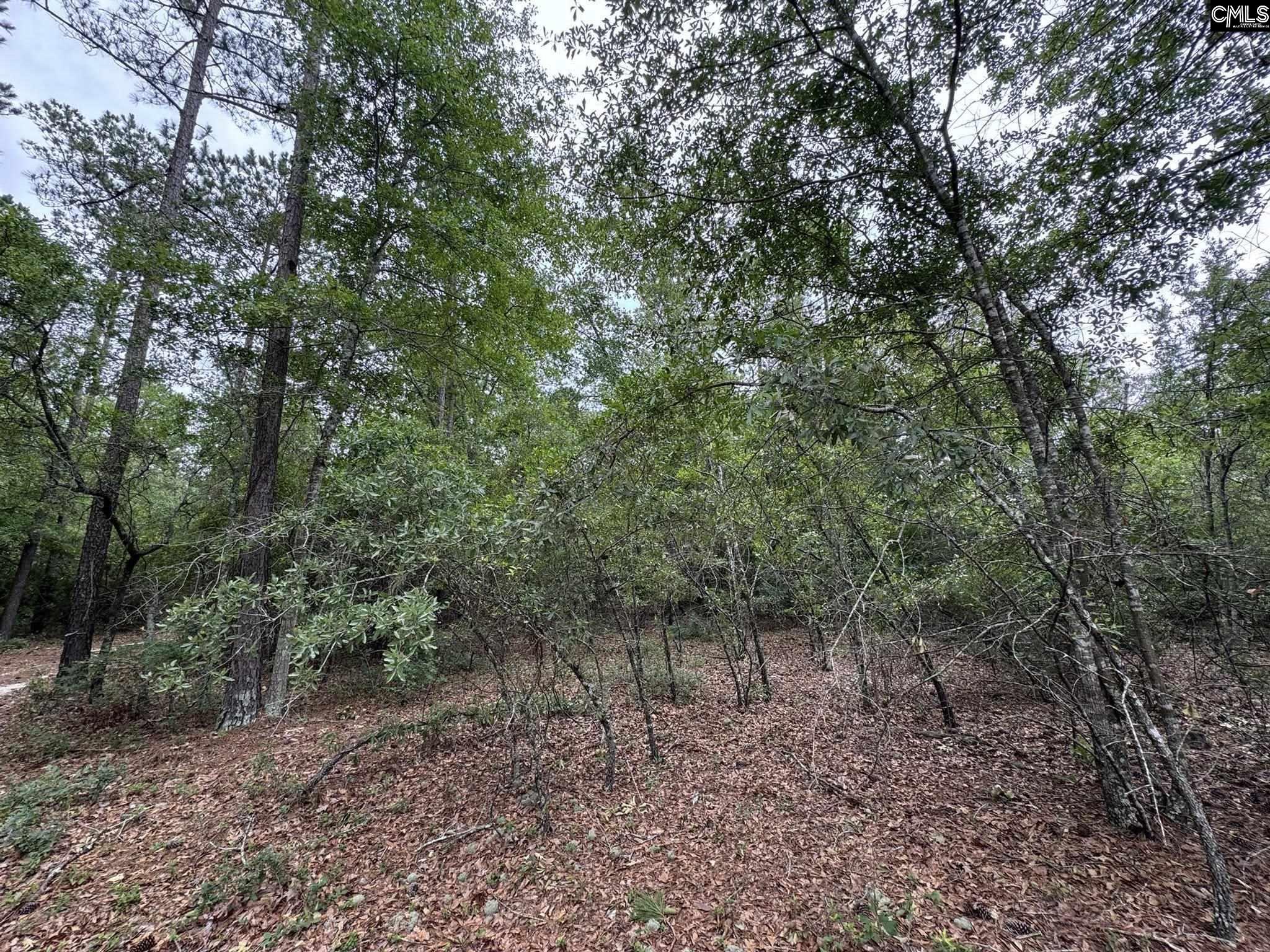 Farm Road, Swansea, South Carolina image 14