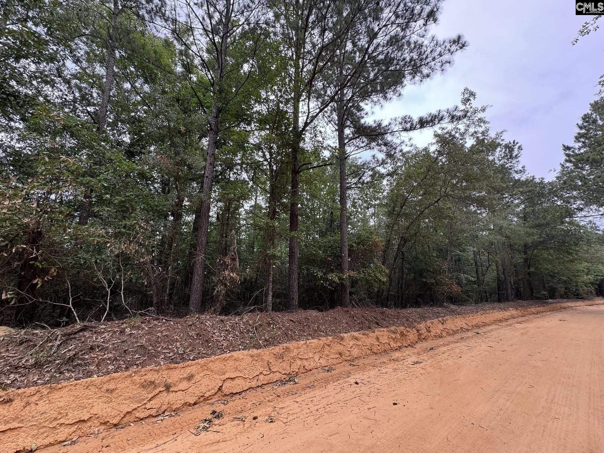 Farm Road, Swansea, South Carolina image 16