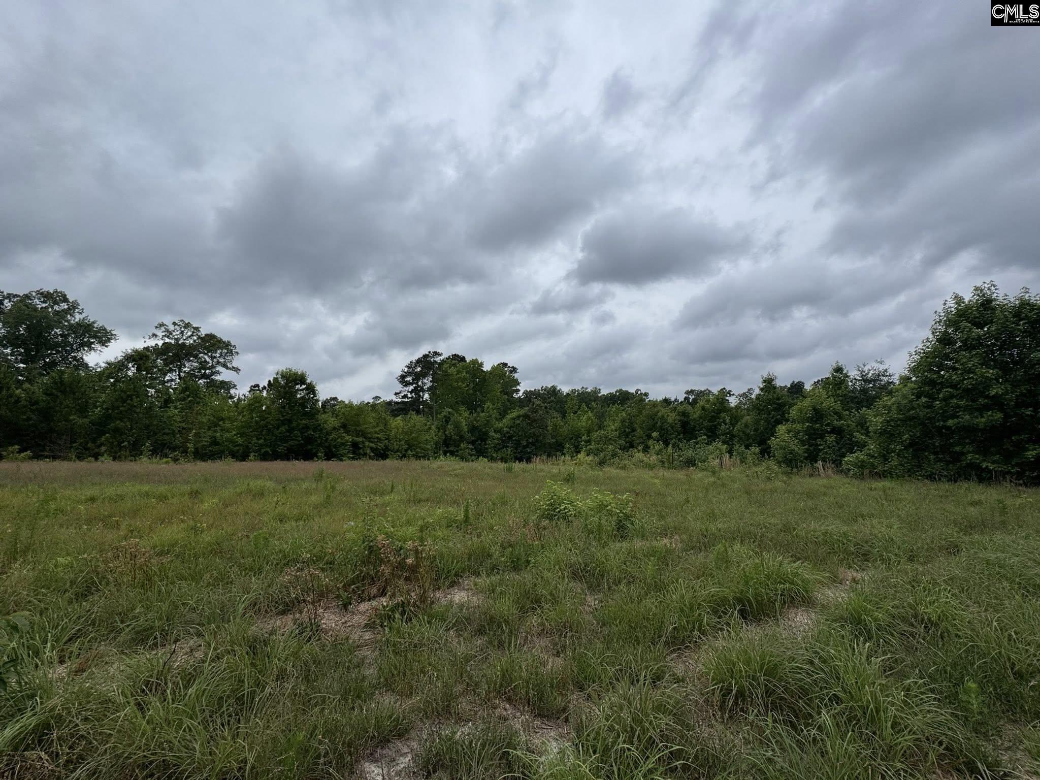 Farm Road, Swansea, South Carolina image 19