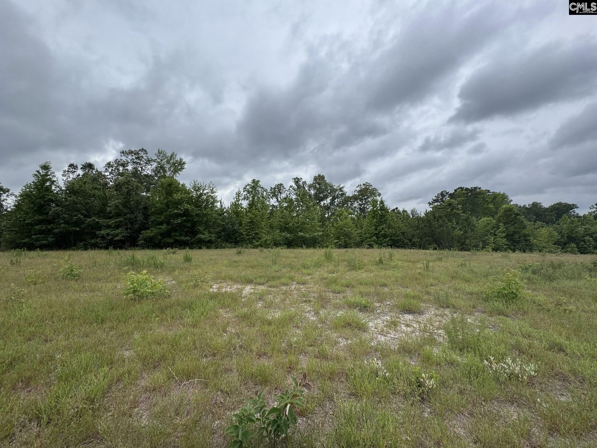 Farm Road, Swansea, South Carolina image 34