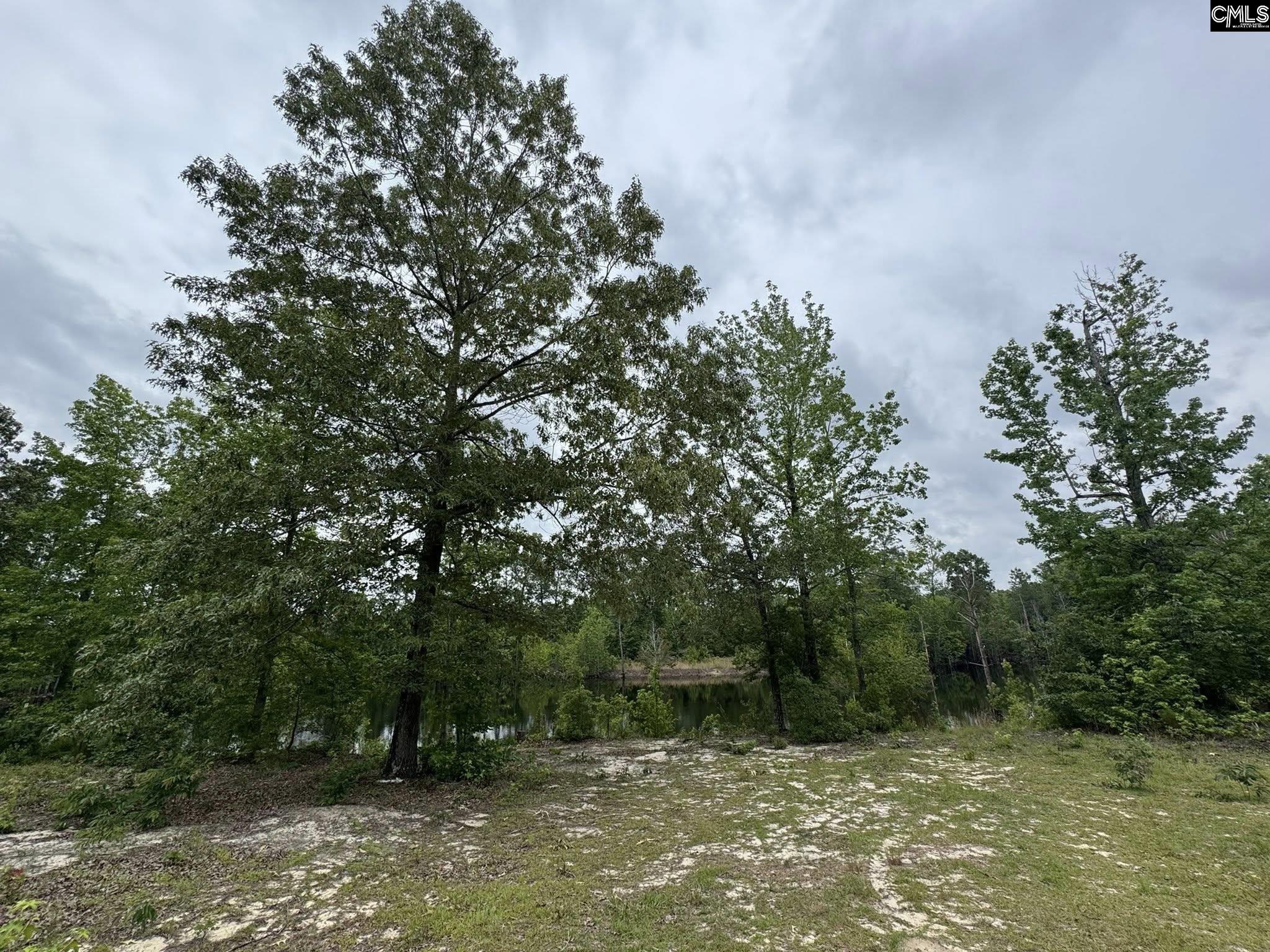 Farm Road, Swansea, South Carolina image 8