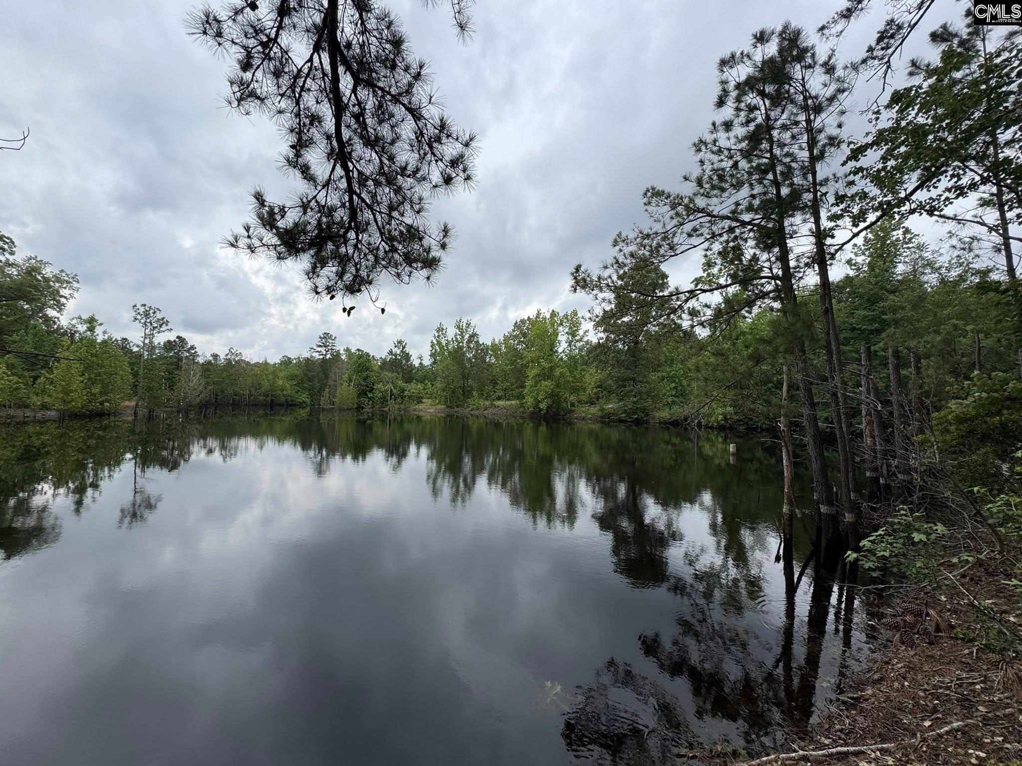 Farm Road, Swansea, South Carolina image 9
