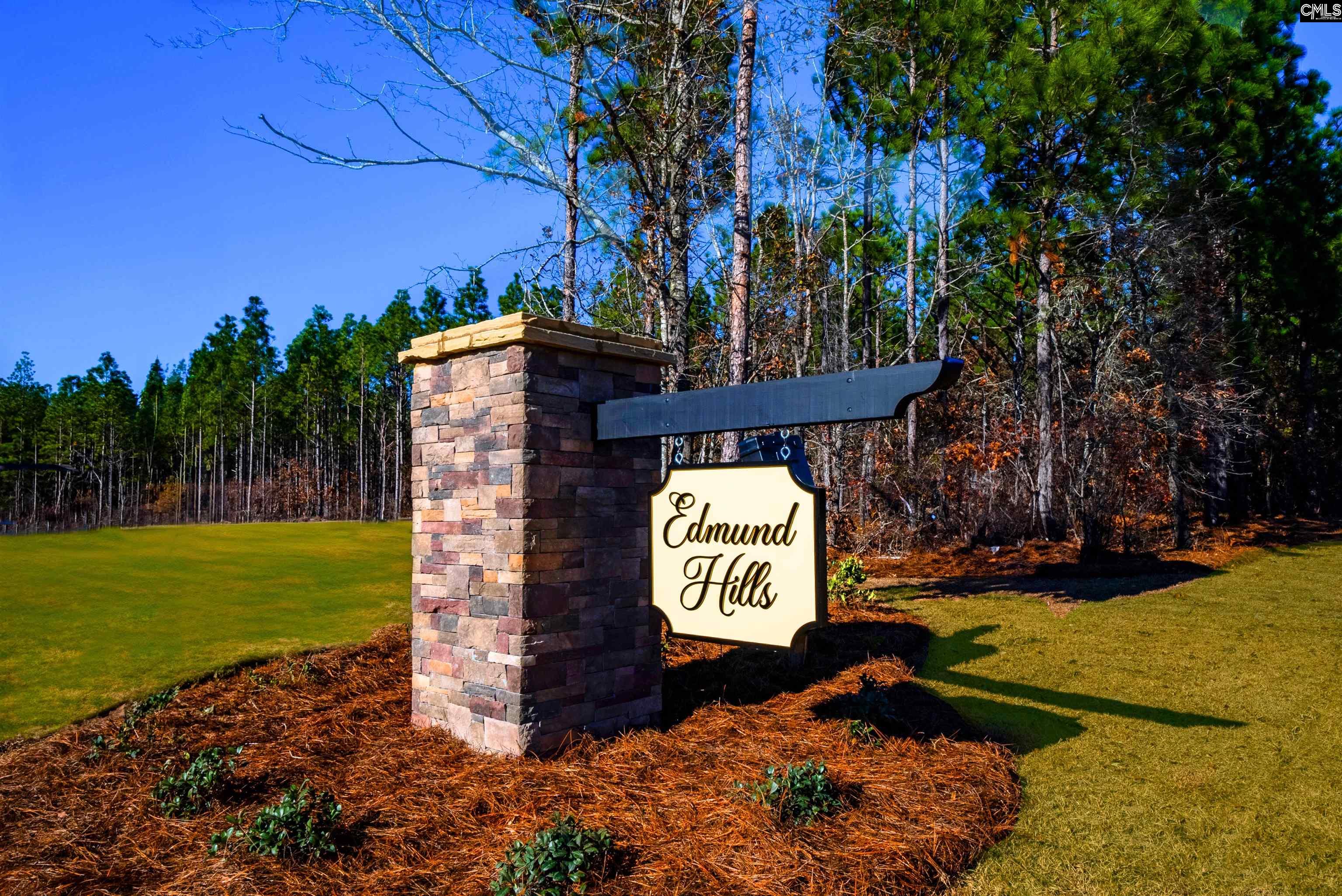 167 Federation Street, Lexington, South Carolina image 24