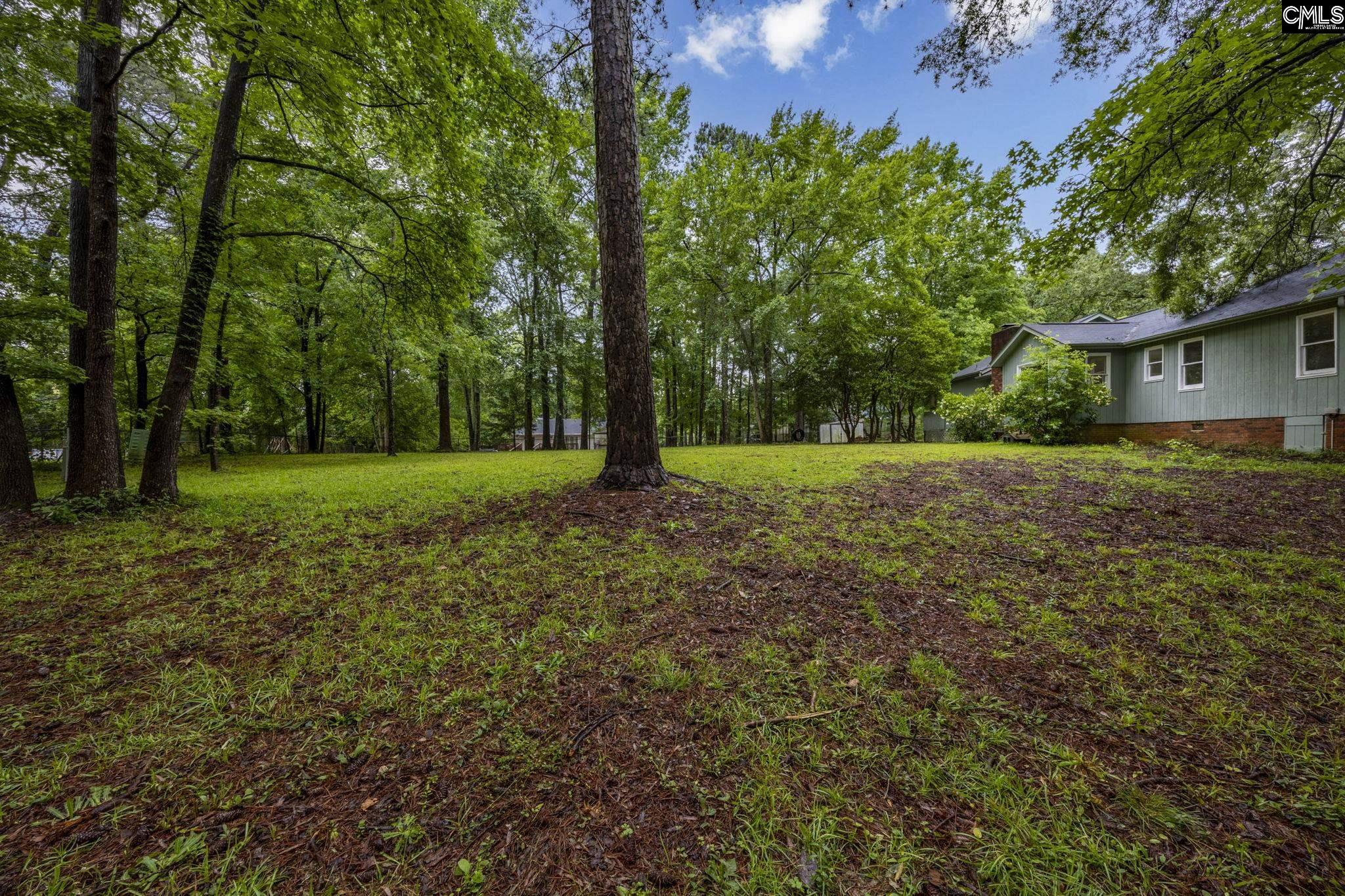 243 Wychwood Road, Irmo, South Carolina image 33