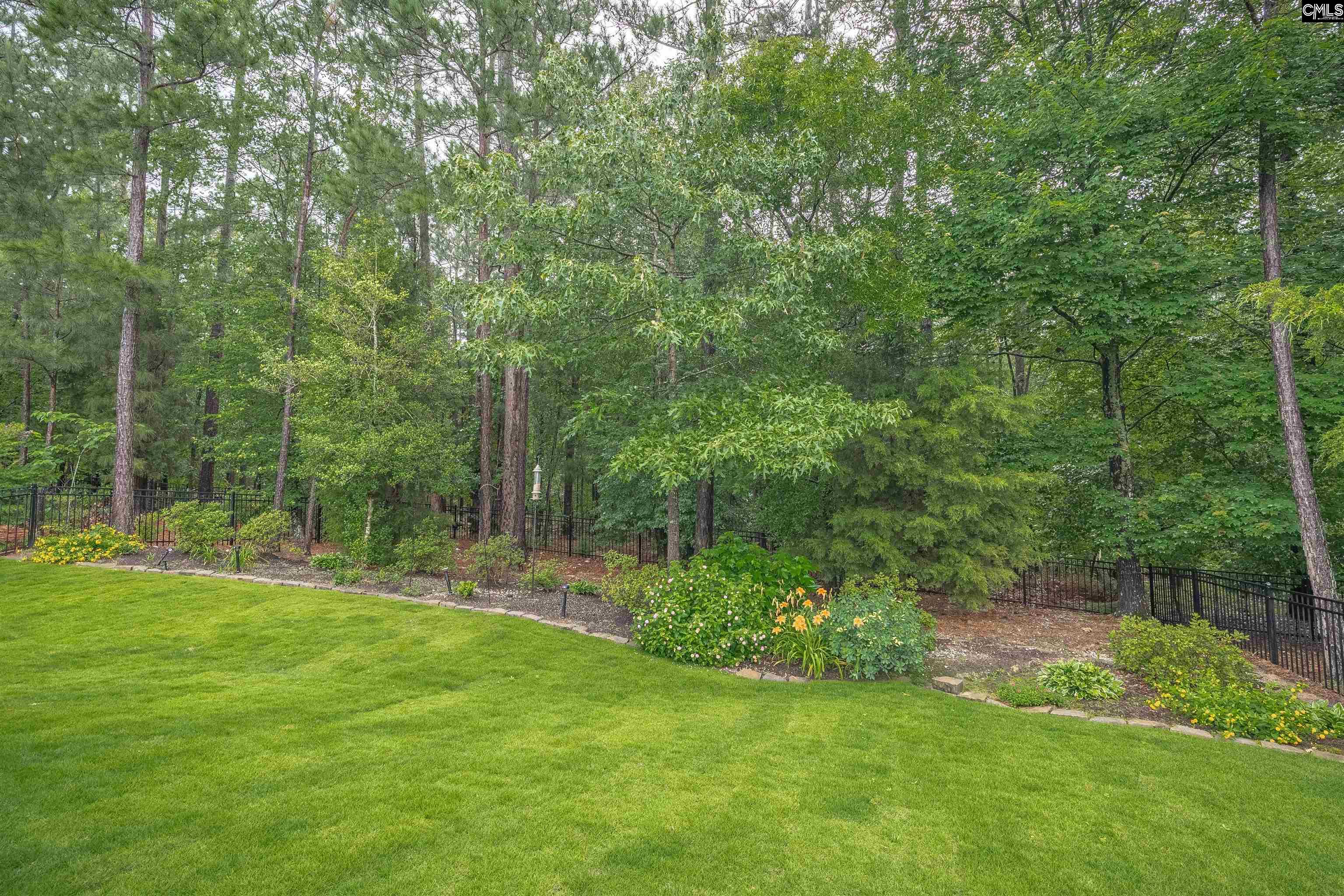 383 Summersweet Court, Blythewood, South Carolina image 43