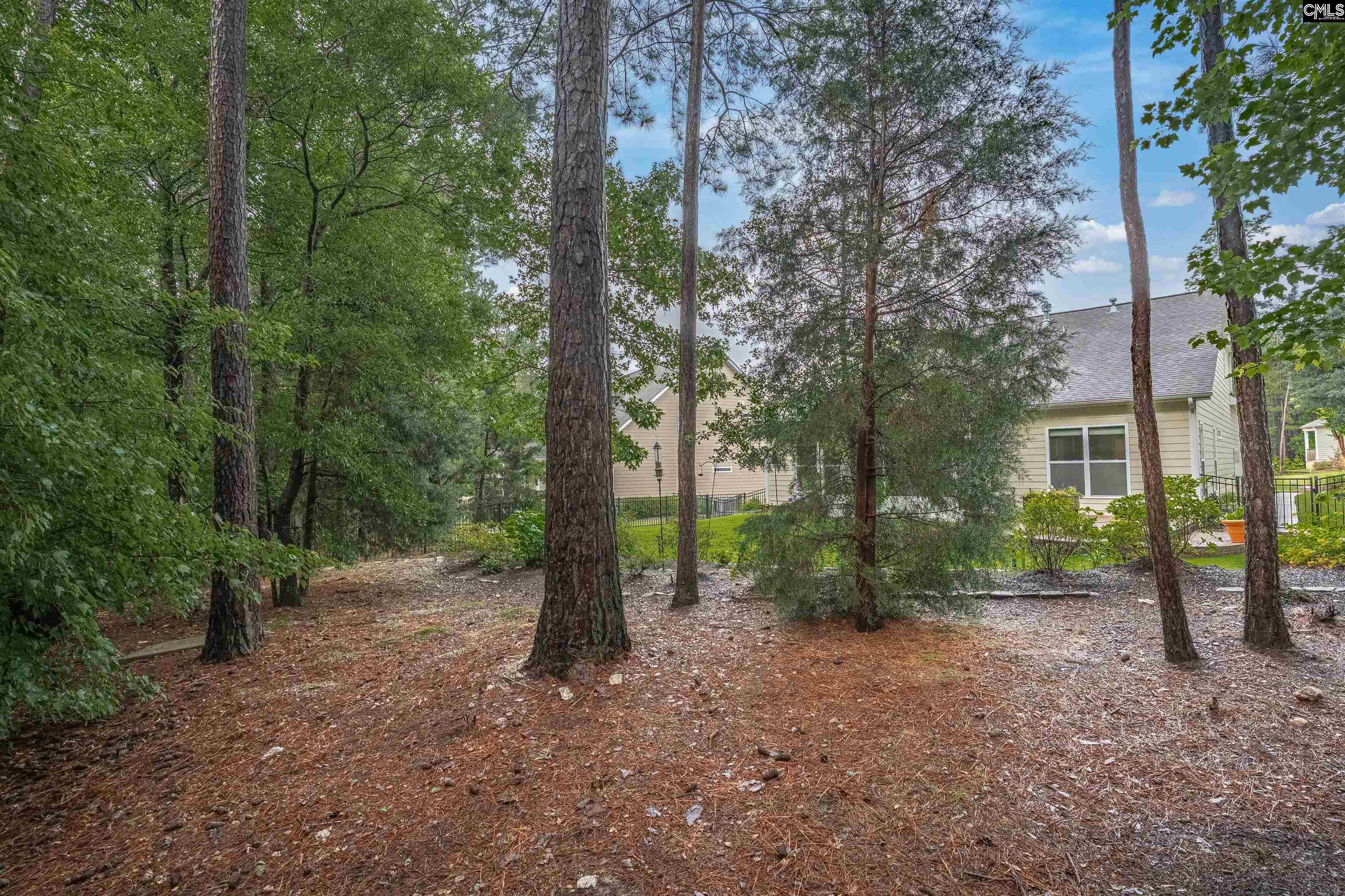 383 Summersweet Court, Blythewood, South Carolina image 44