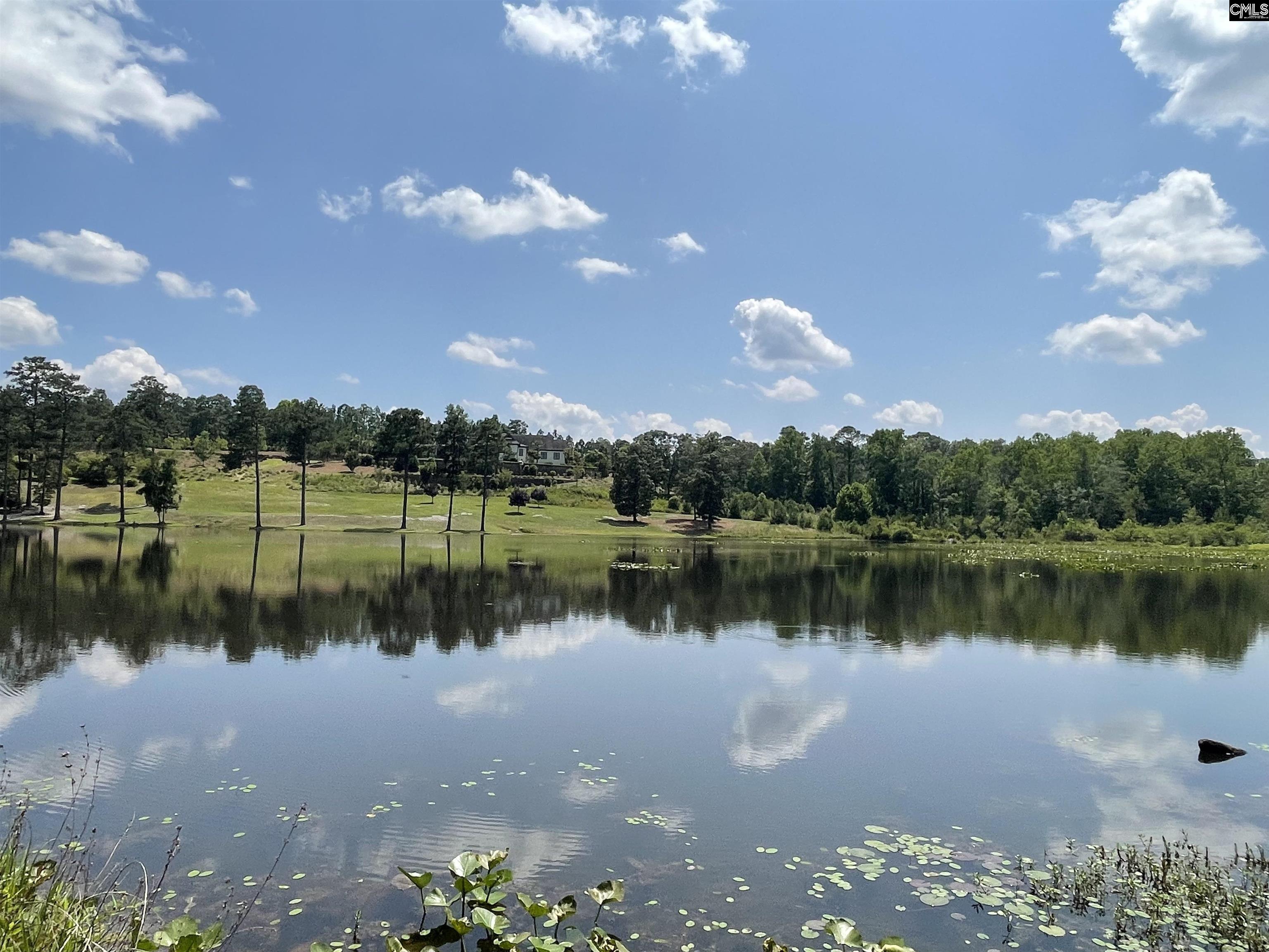 624 Beaver Park (lot 27) Drive, Elgin, South Carolina image 9