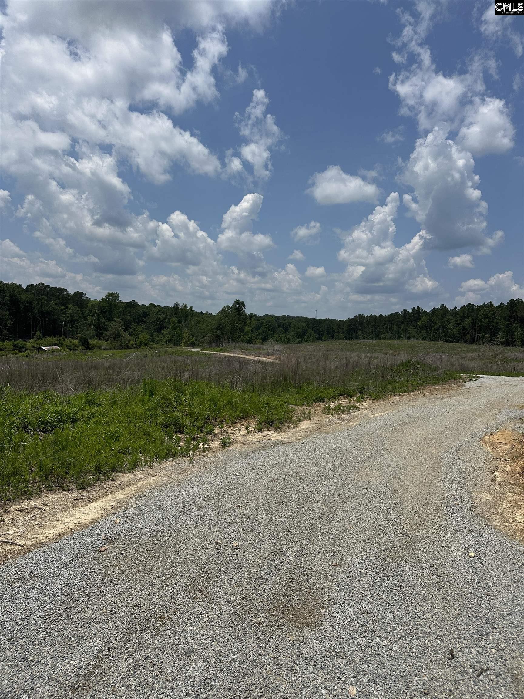 Crooked Creek Road, Chapin, South Carolina image 2