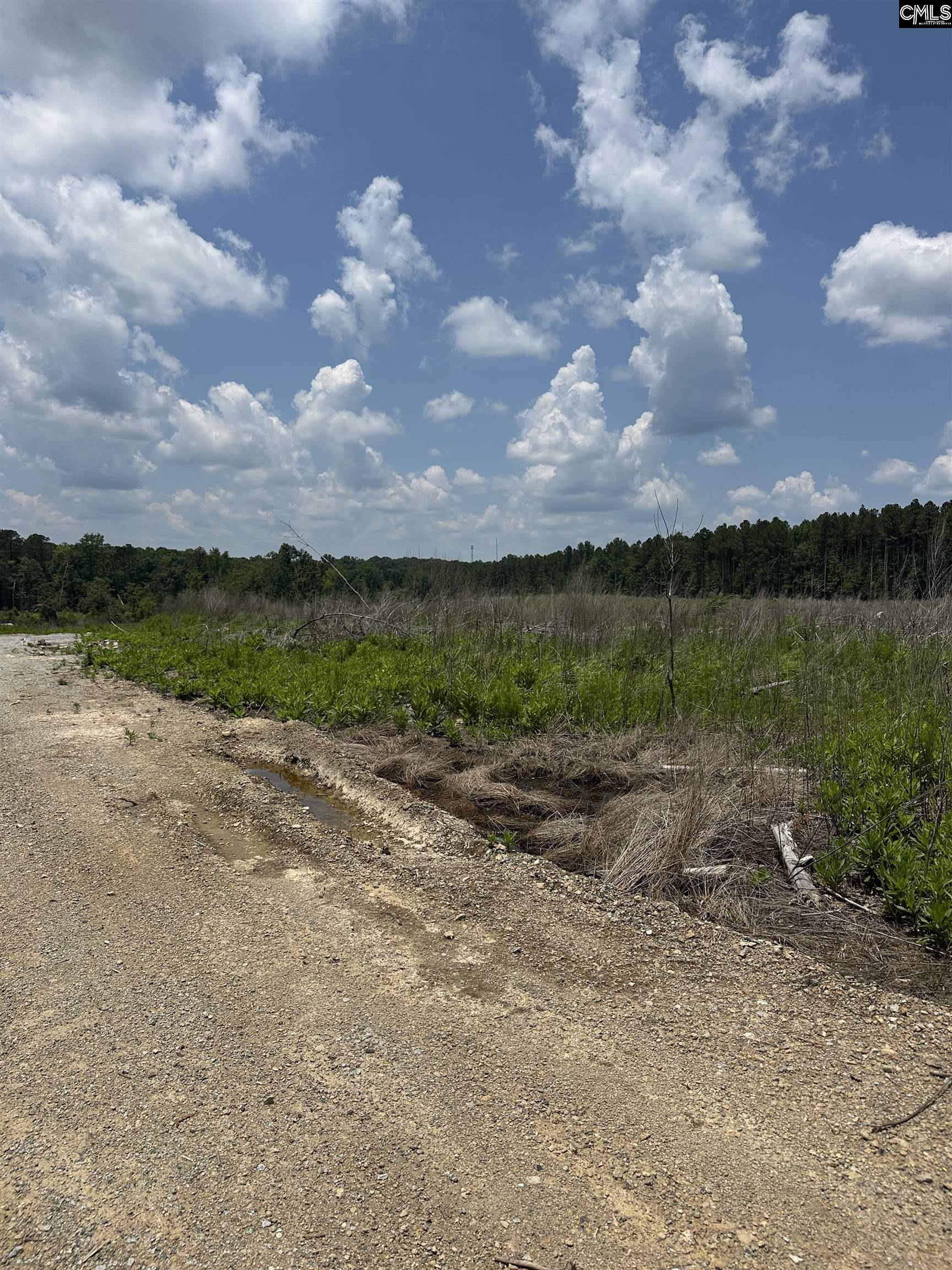 Crooked Creek Road Chapin, SC 29036