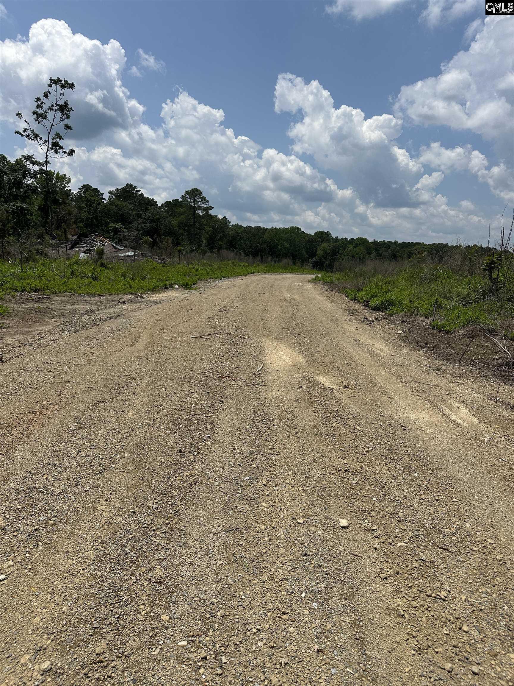 Crooked Creek Road, Chapin, South Carolina image 5
