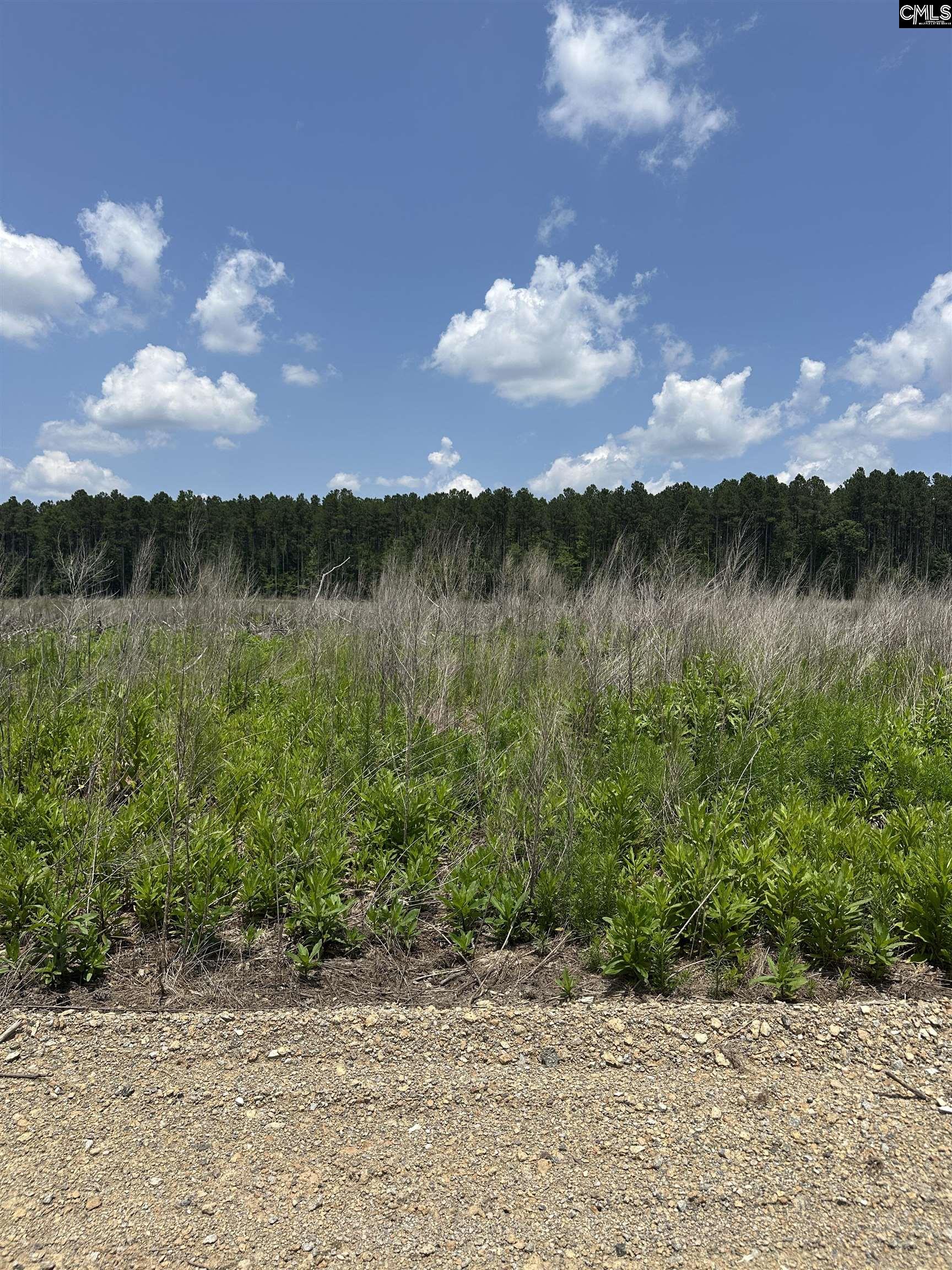 Crooked Creek Road Chapin, SC 29036