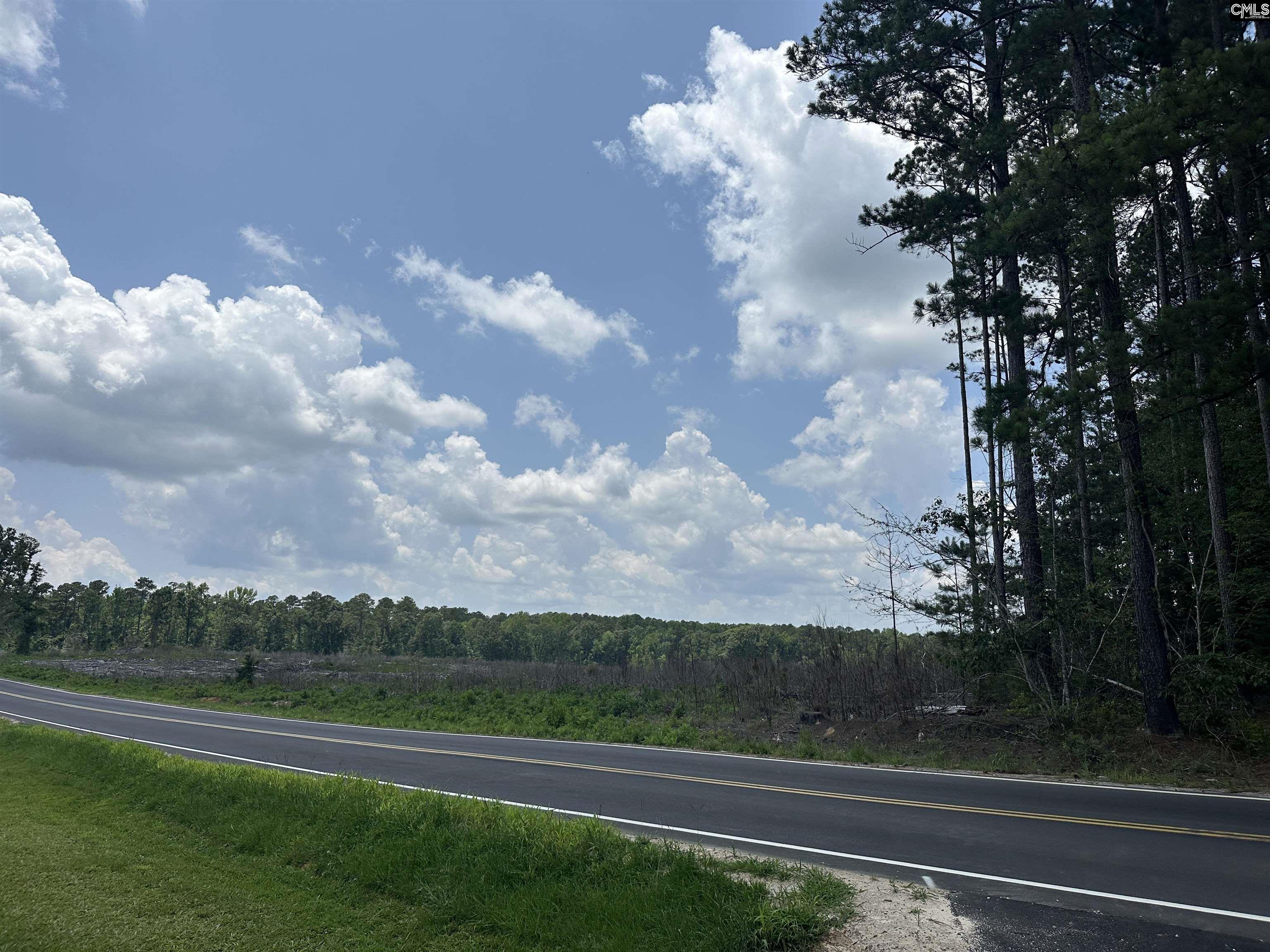 Crooked Creek Road, Chapin, South Carolina image 6