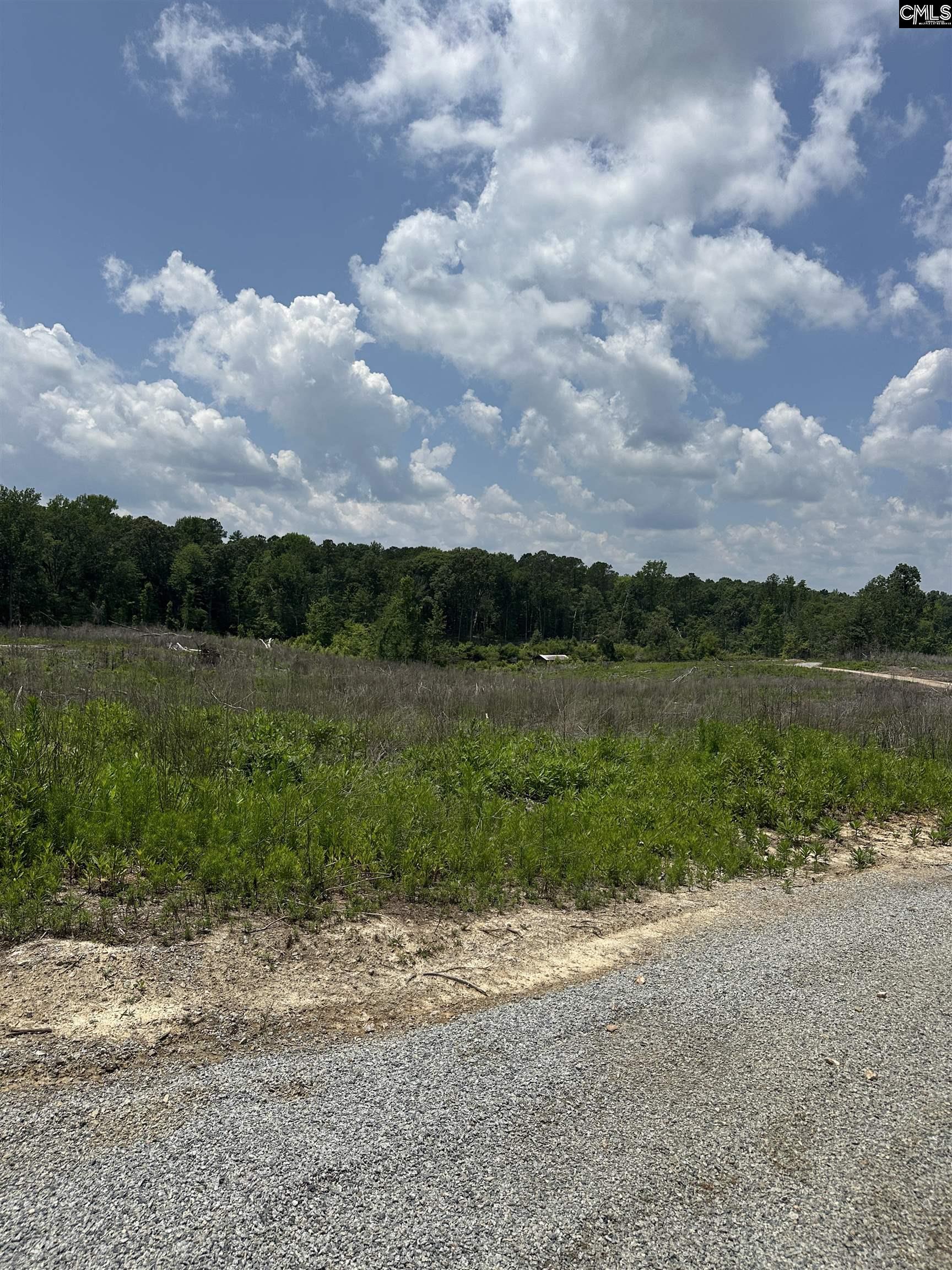 Crooked Creek Road, Chapin, South Carolina image 7