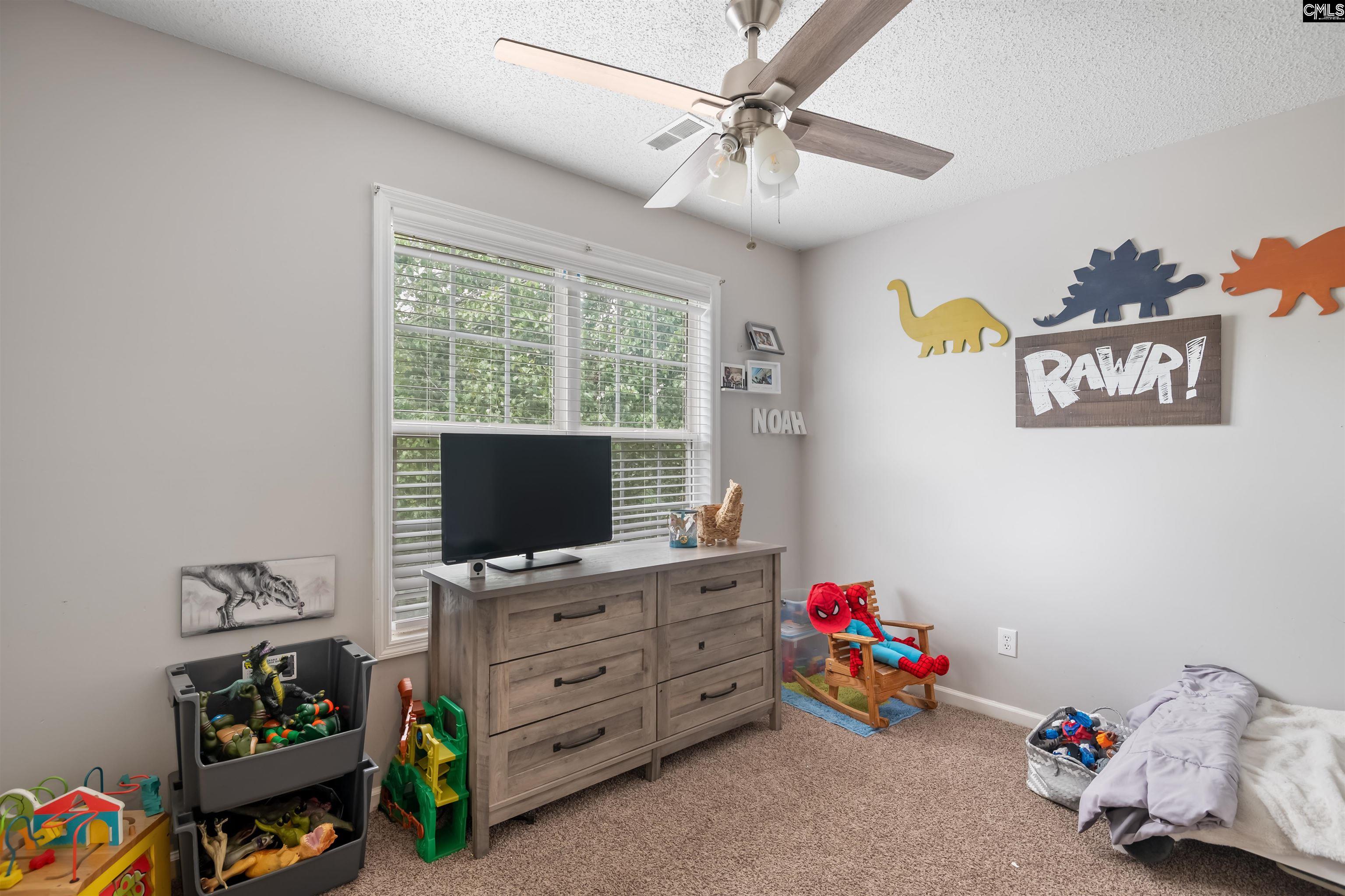 301 Holly Ridge Lane, Columbia, South Carolina image 22