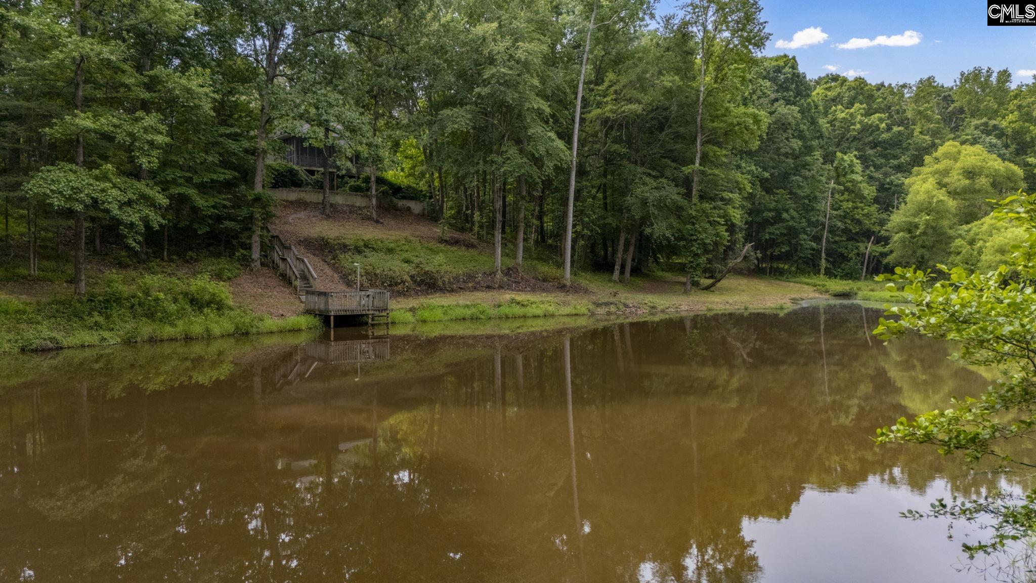 363 Andrew Corley Road Lexington, SC 29072