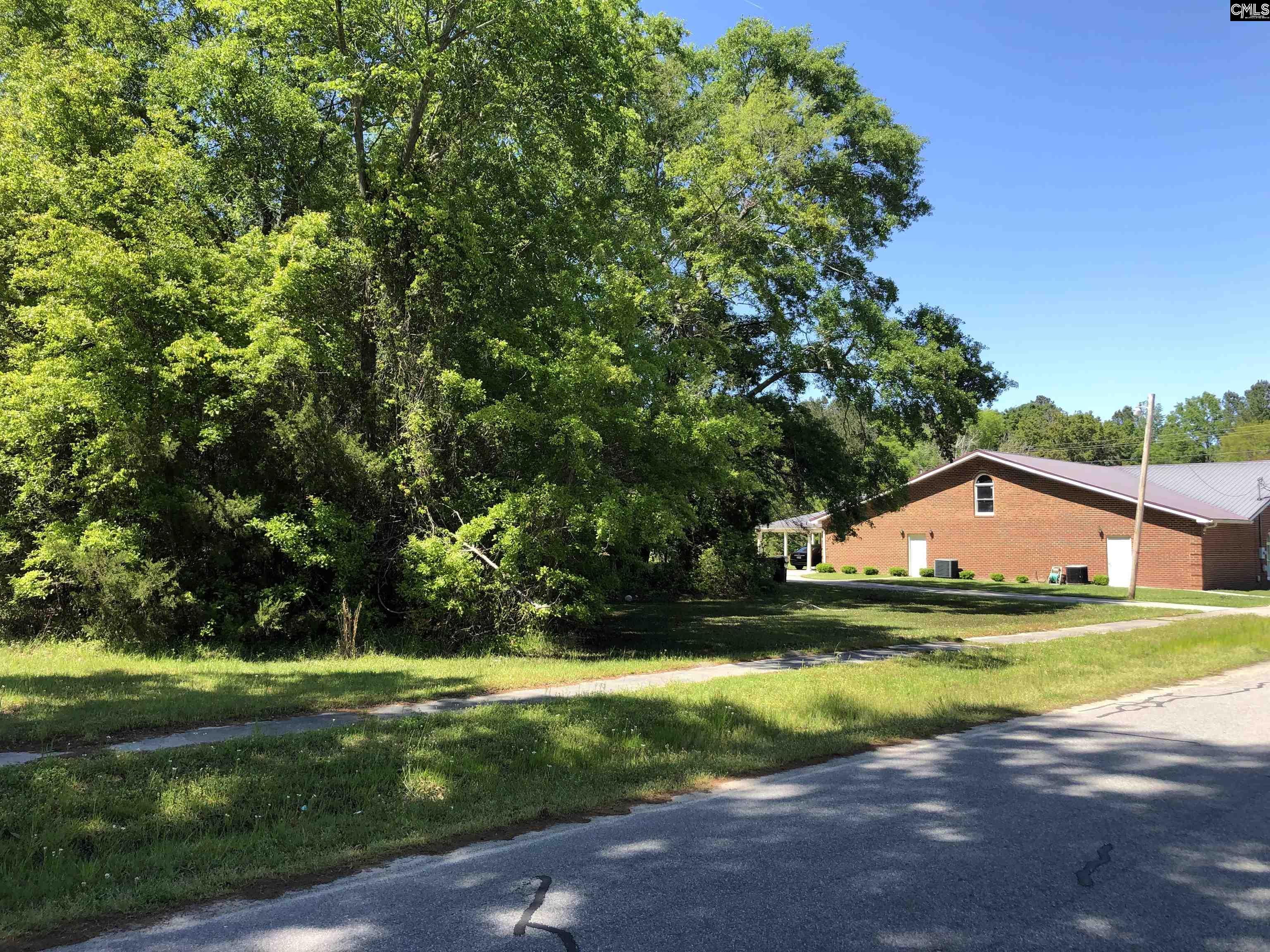 Middle Street, Bamberg, South Carolina image 2