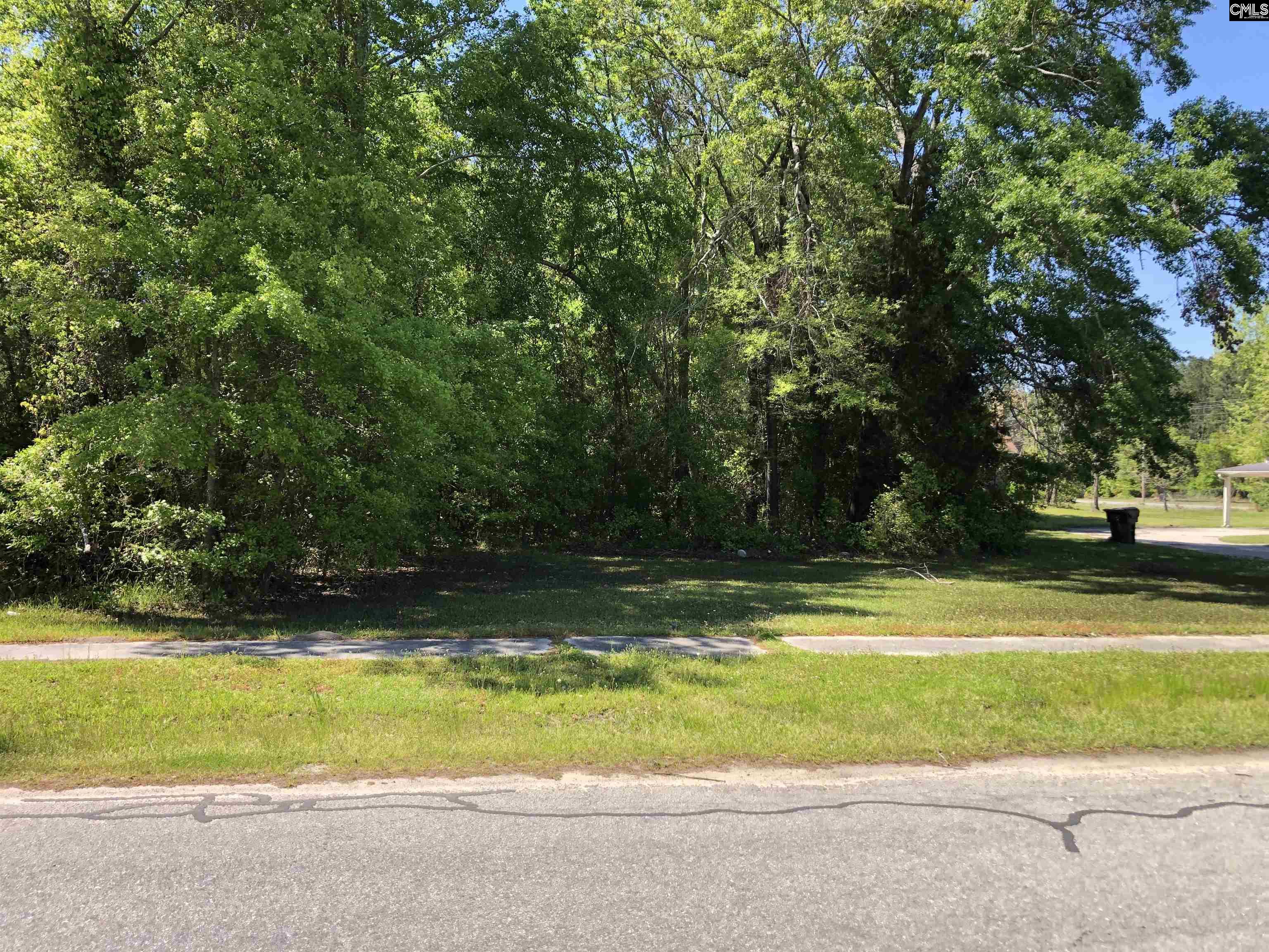 Middle Street, Bamberg, South Carolina image 3