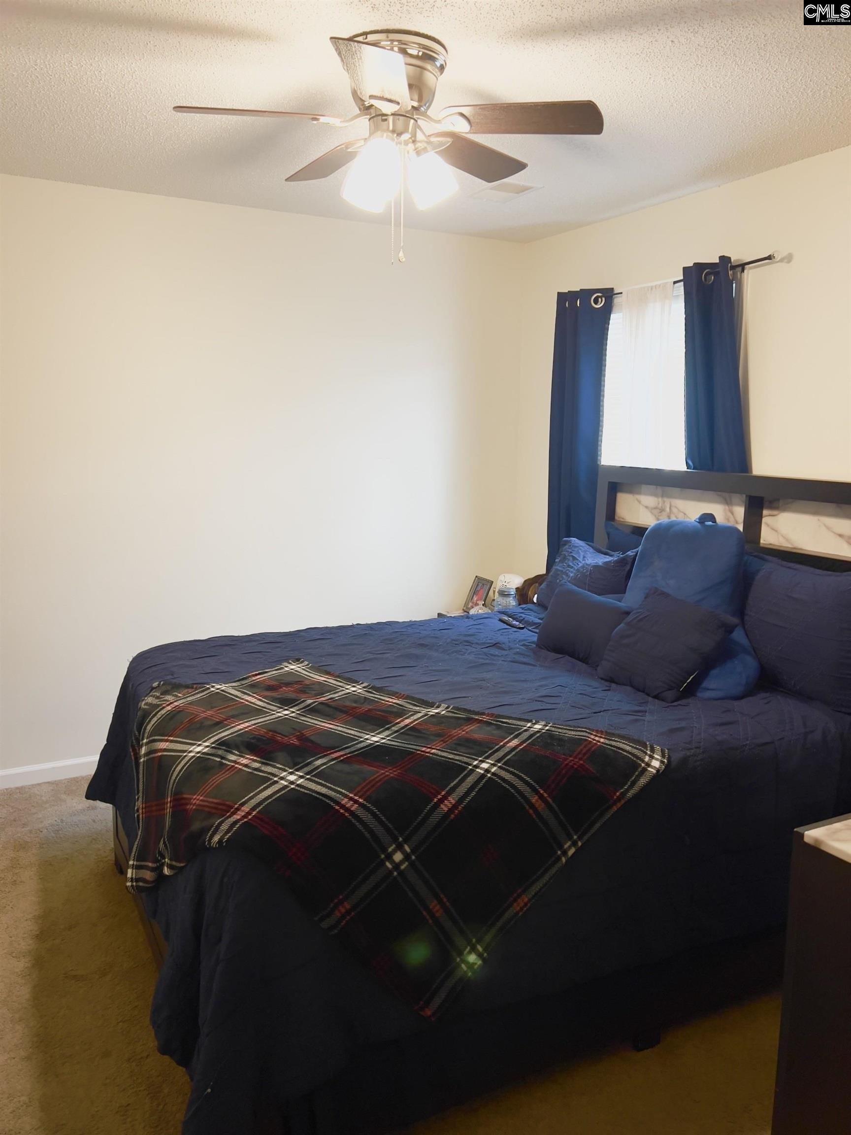 38 Paperbark Court, Columbia, South Carolina image 10