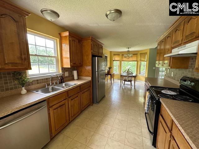 12 Beech Branch Ct, Irmo, South Carolina image 12