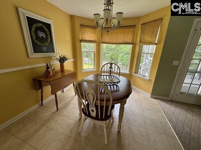 12 Beech Branch Ct, Irmo, South Carolina image 19