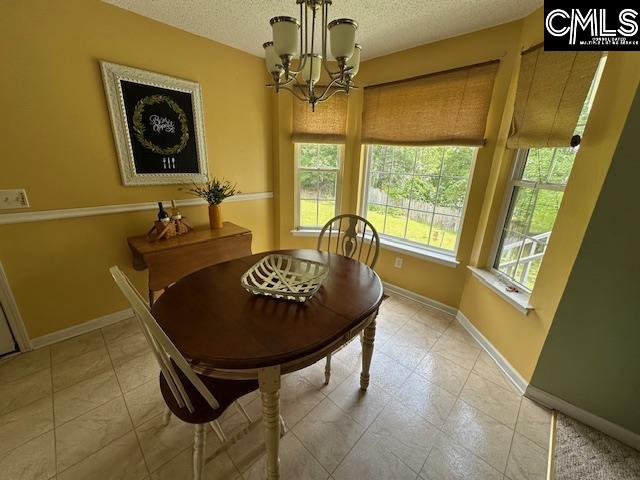 12 Beech Branch Ct, Irmo, South Carolina image 20