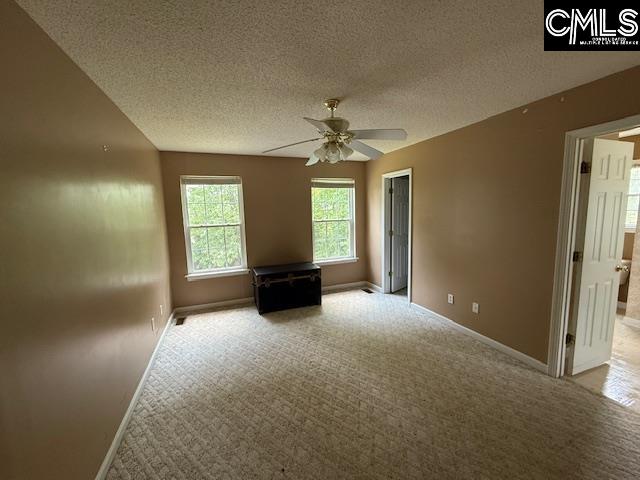 12 Beech Branch Ct, Irmo, South Carolina image 25