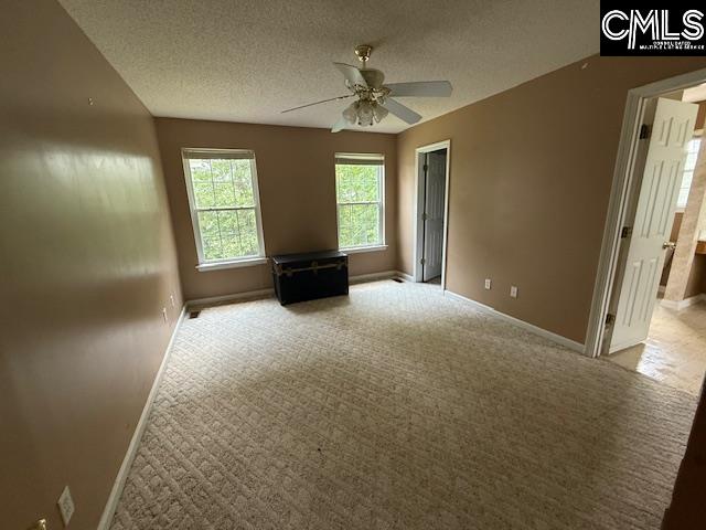 12 Beech Branch Ct, Irmo, South Carolina image 26