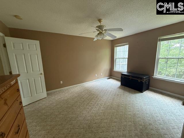 12 Beech Branch Ct, Irmo, South Carolina image 27