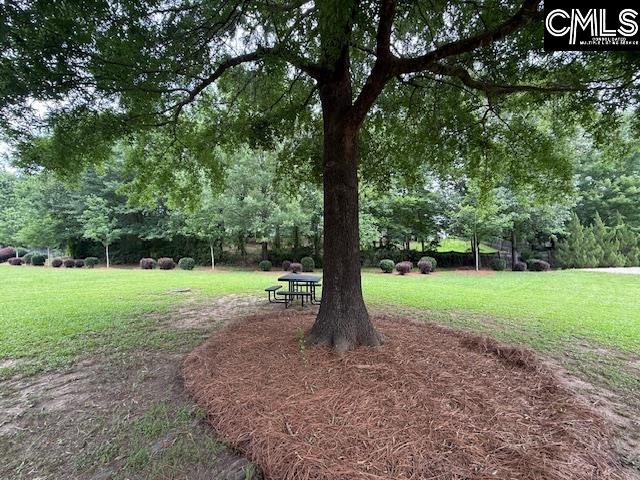 12 Beech Branch Ct Irmo, SC 29063