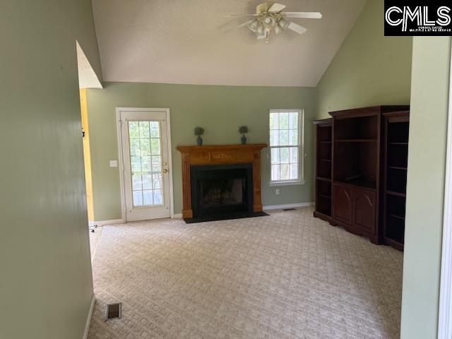 12 Beech Branch Ct, Irmo, South Carolina image 7