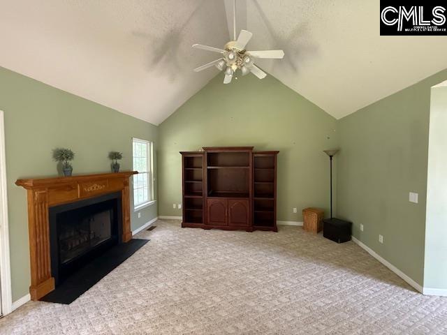 12 Beech Branch Ct, Irmo, South Carolina image 8