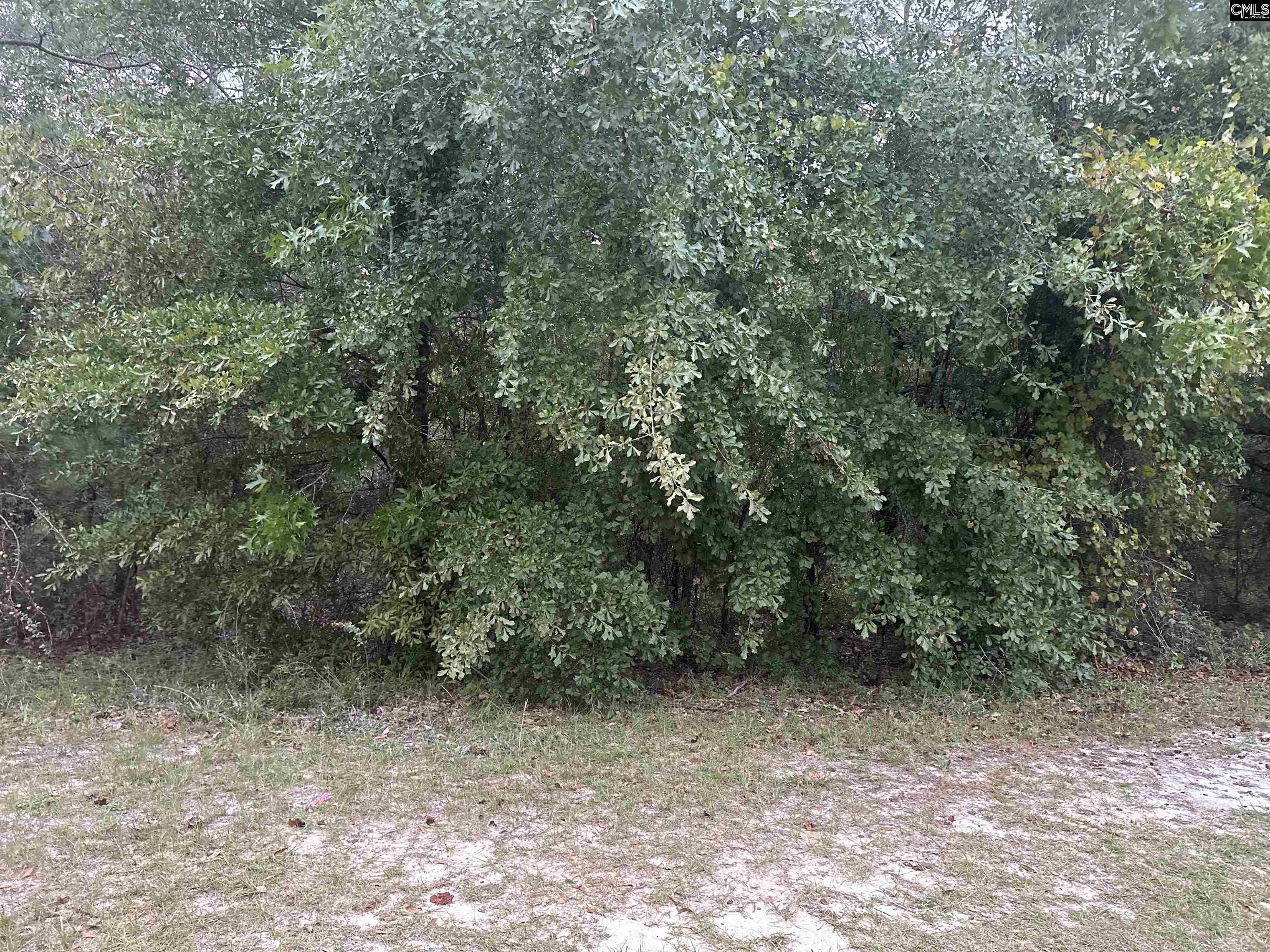 Woodtrail Drive, Gaston, South Carolina image 1