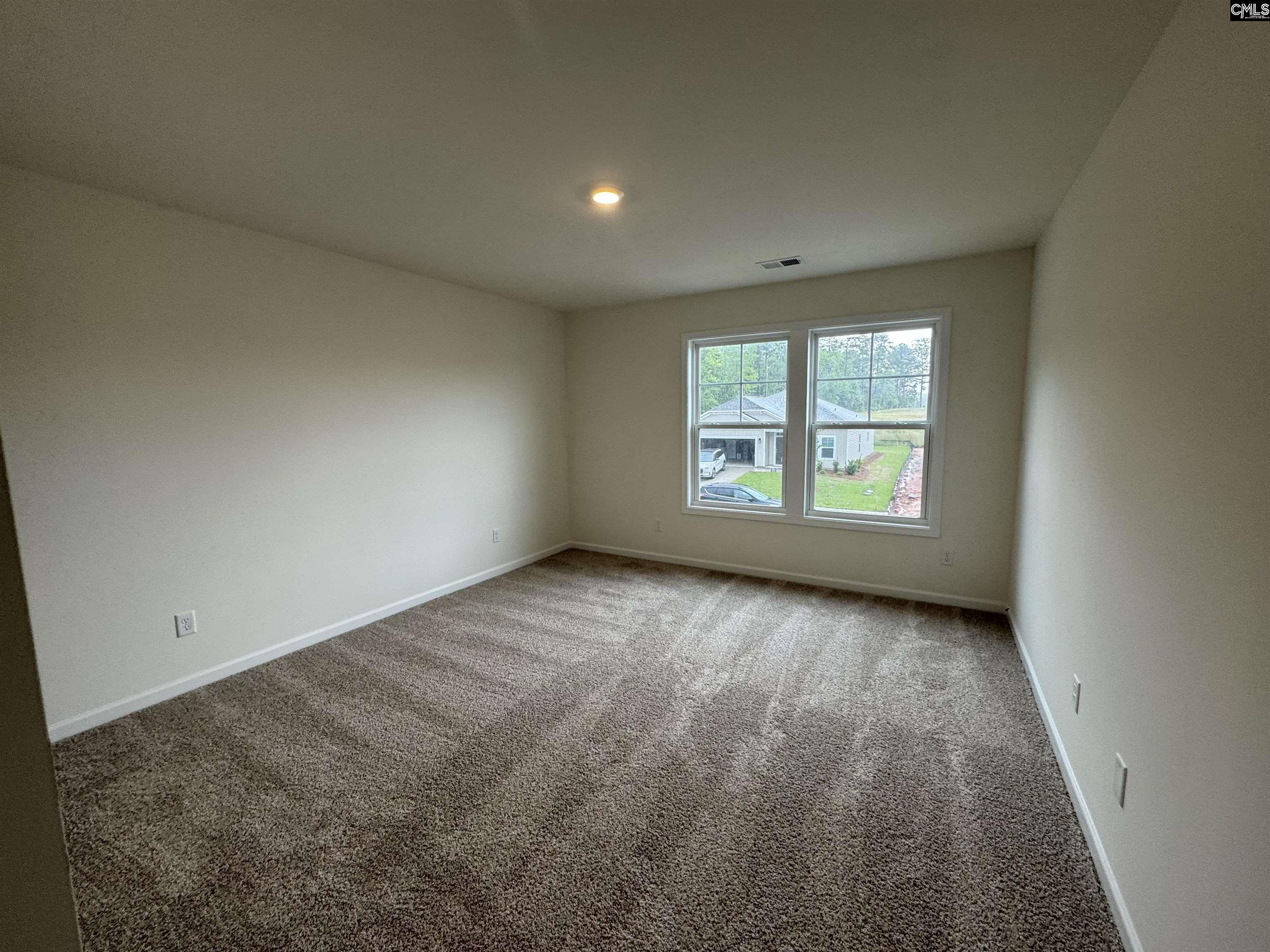 506 Griffon Drive, Chapin, South Carolina image 18